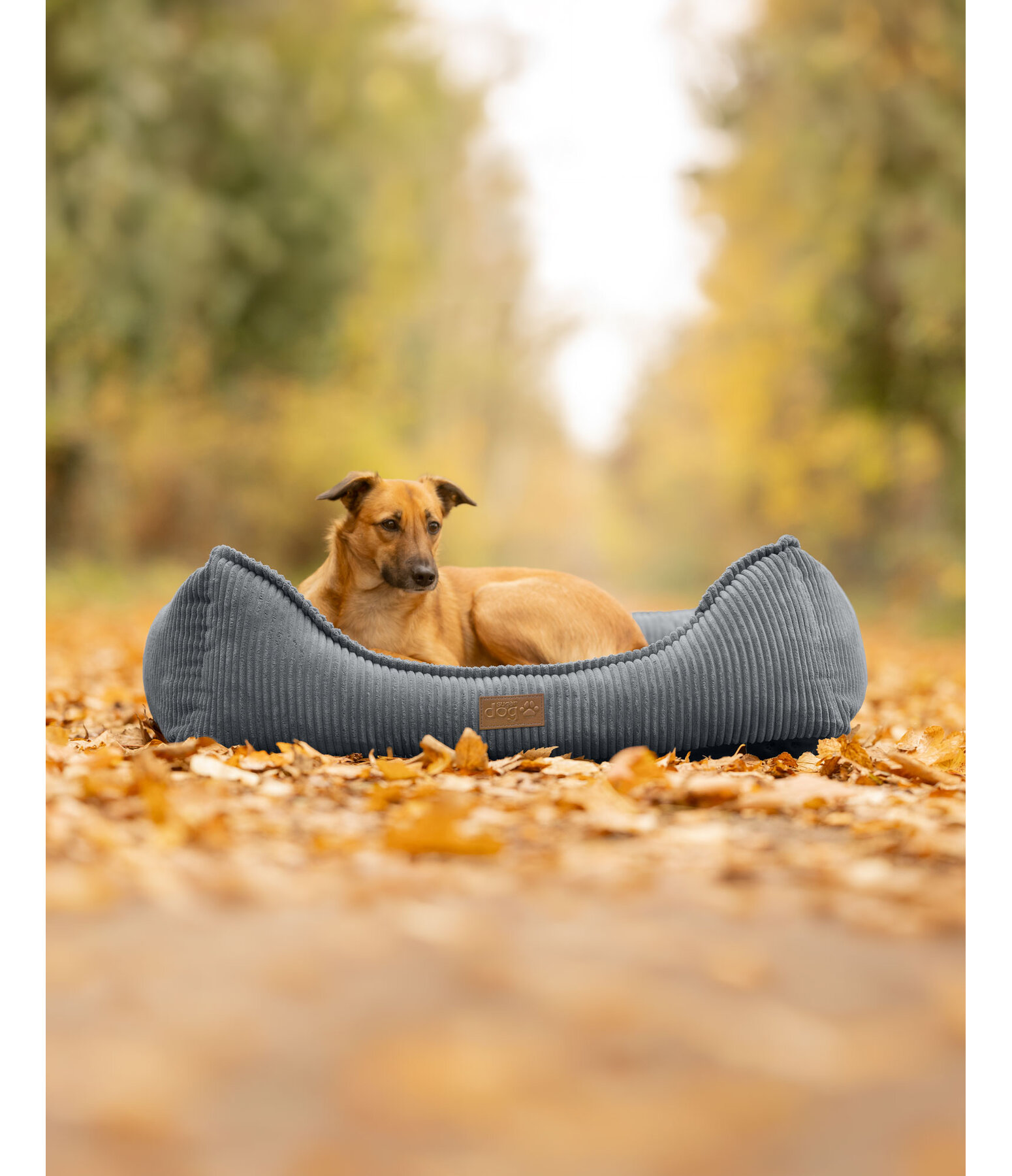 Dog Bed Cord