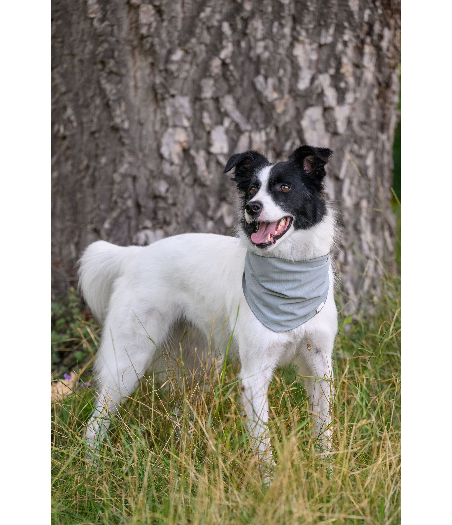 Cooling Scarf Frostie