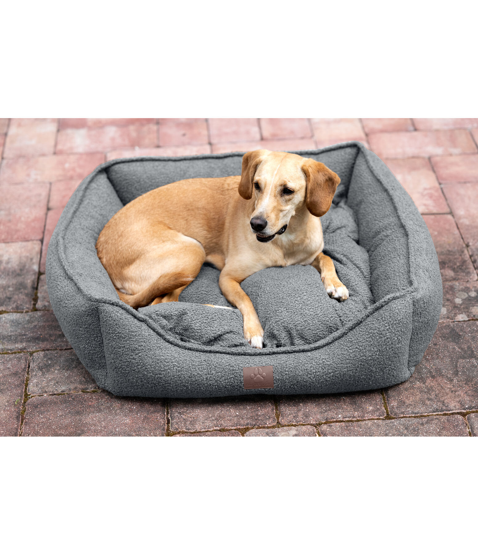 Dog Bed Square