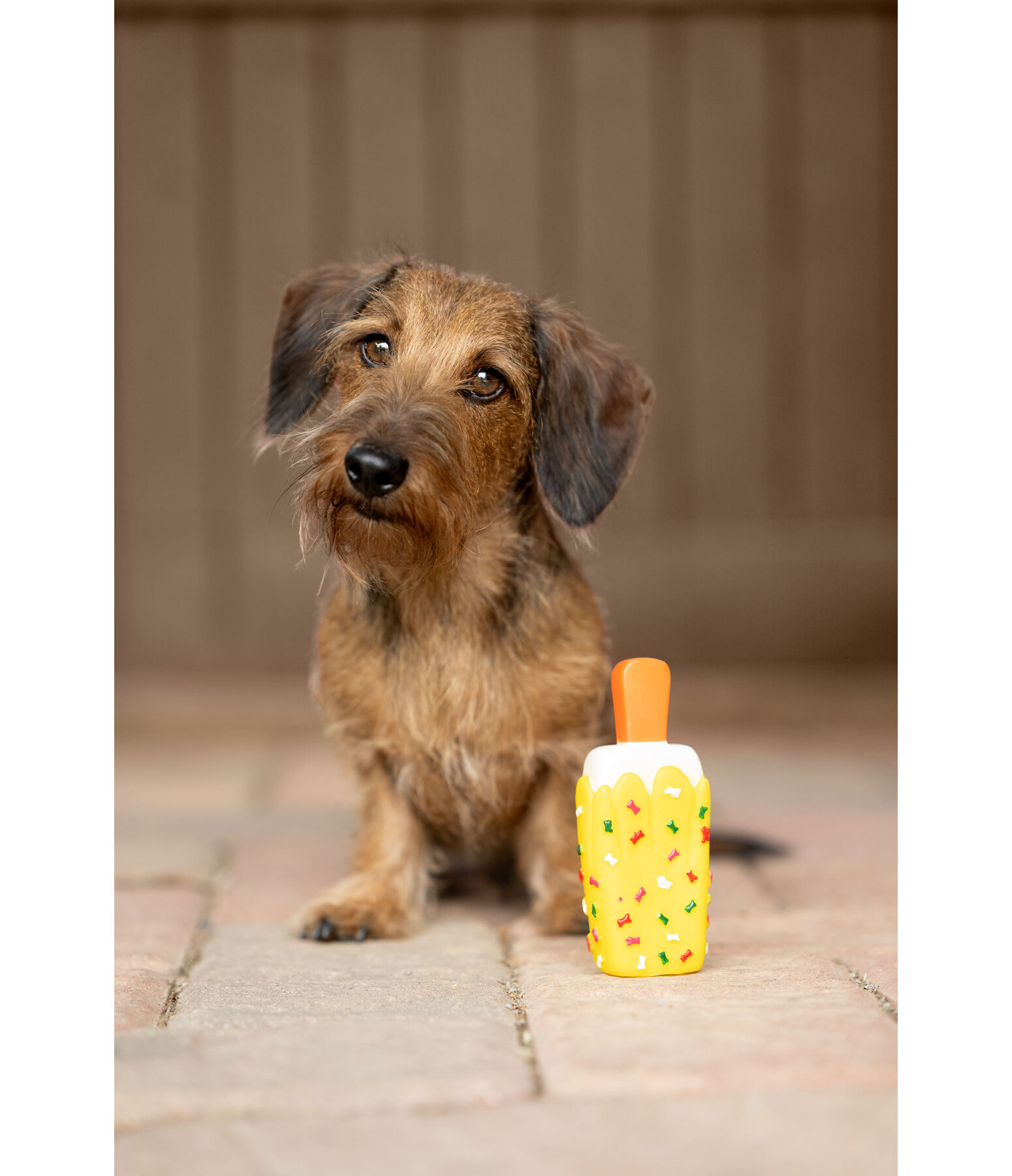 Squeaky Dog Toy Ice Lolly
