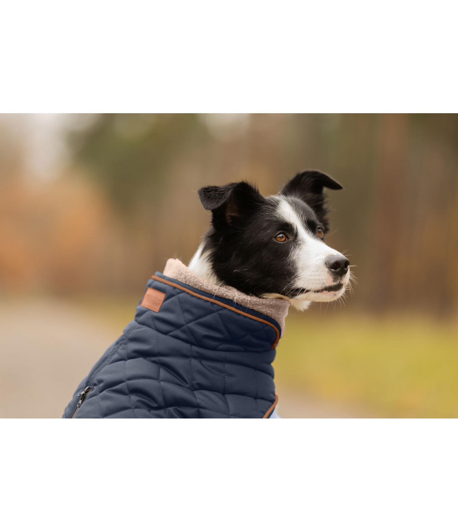 Quilted Dog Coat with Teddy Fleece Lining Holly