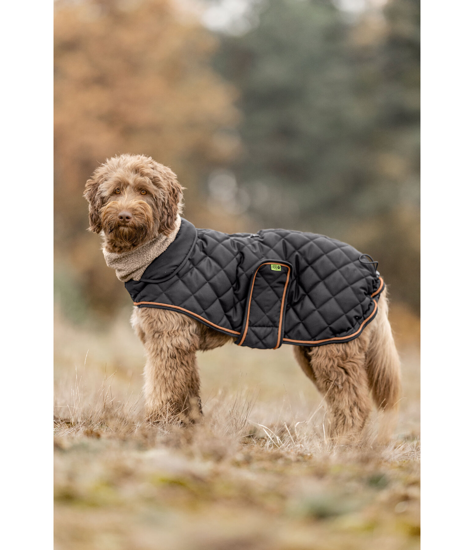 Quilted Dog Coat with Teddy Fleece Lining Holly
