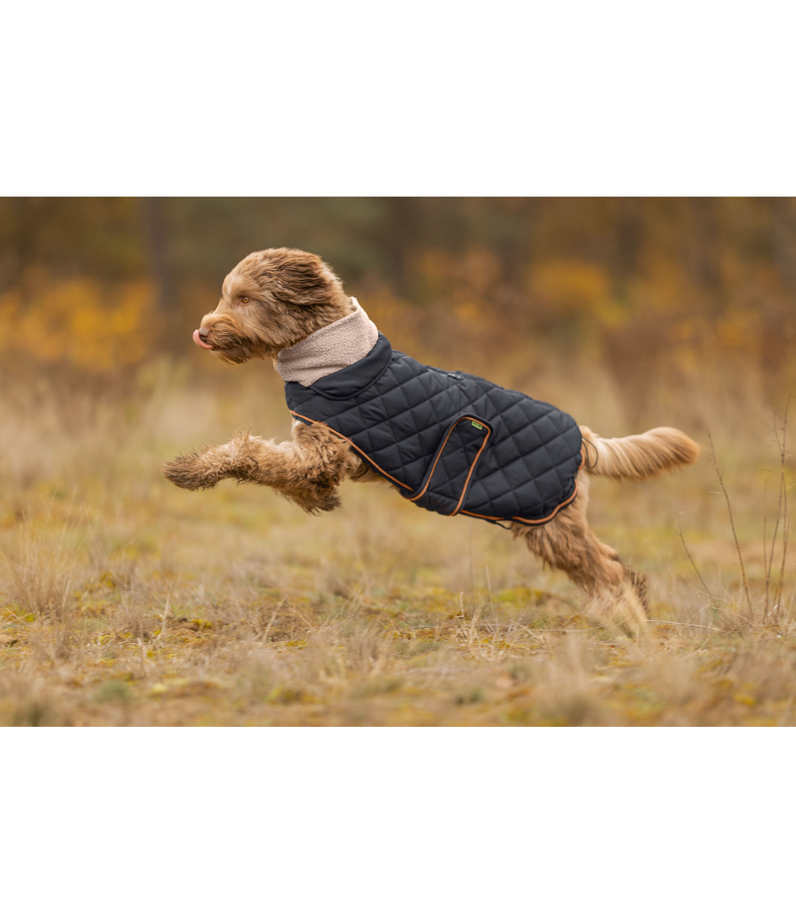 Quilted Dog Coat with Teddy Fleece Lining Holly