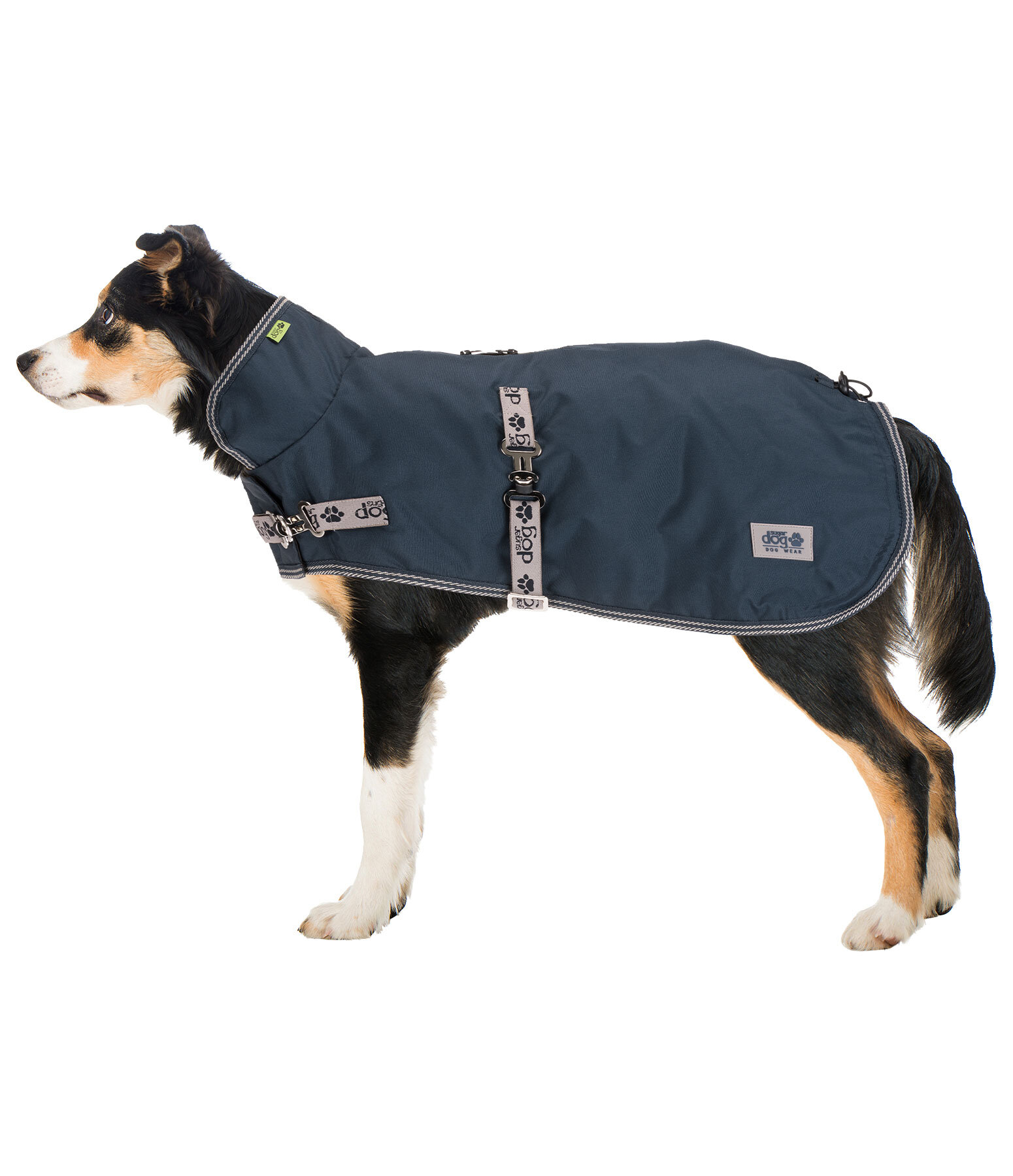 Dog Coat with Liner System Northwood