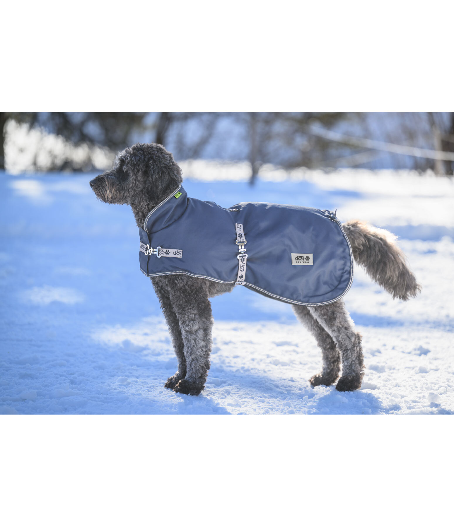 Dog Coat with Liner System Northwood