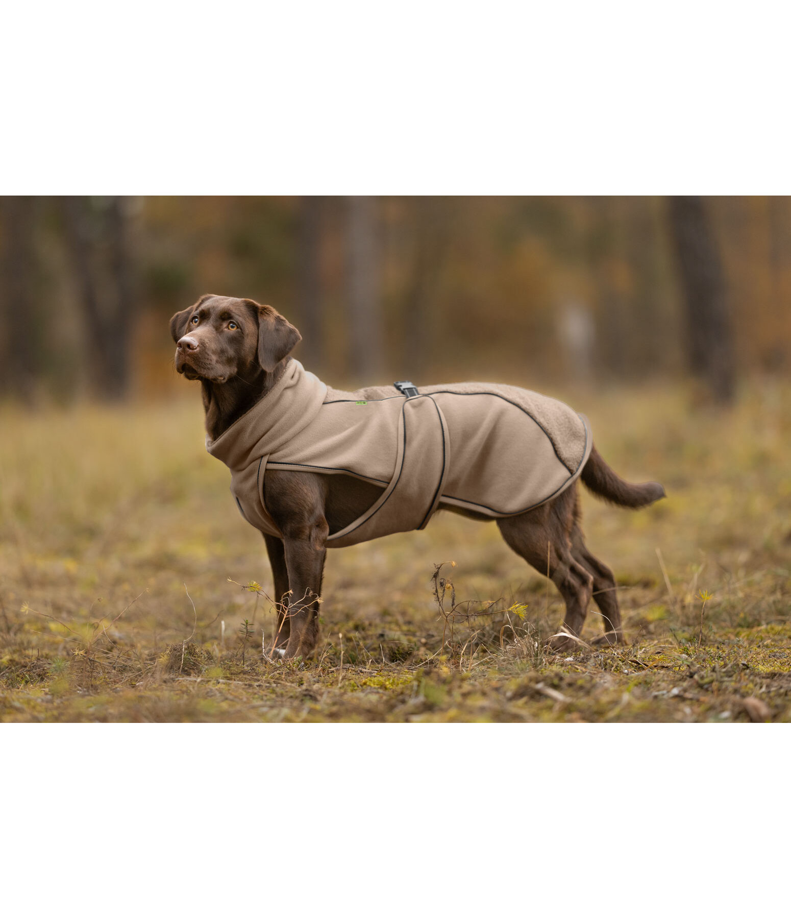 Teddy Fleece Dog Coat Frido