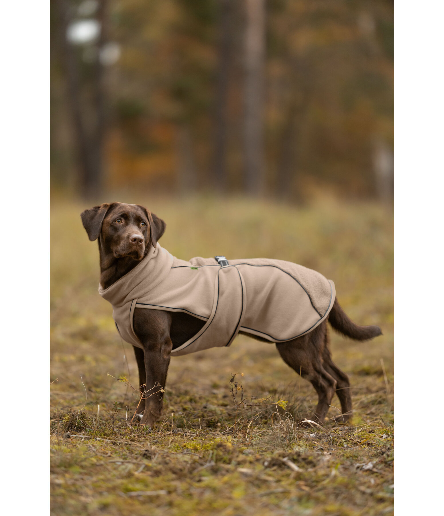 Teddy Fleece Dog Coat Frido