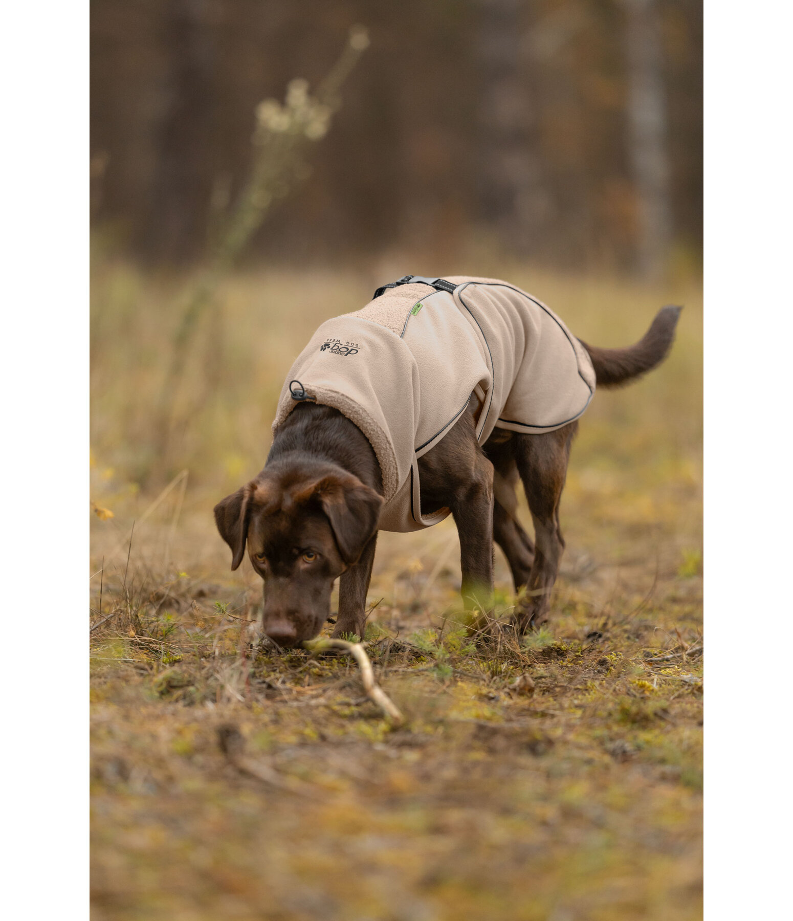 Teddy Fleece Dog Coat Frido