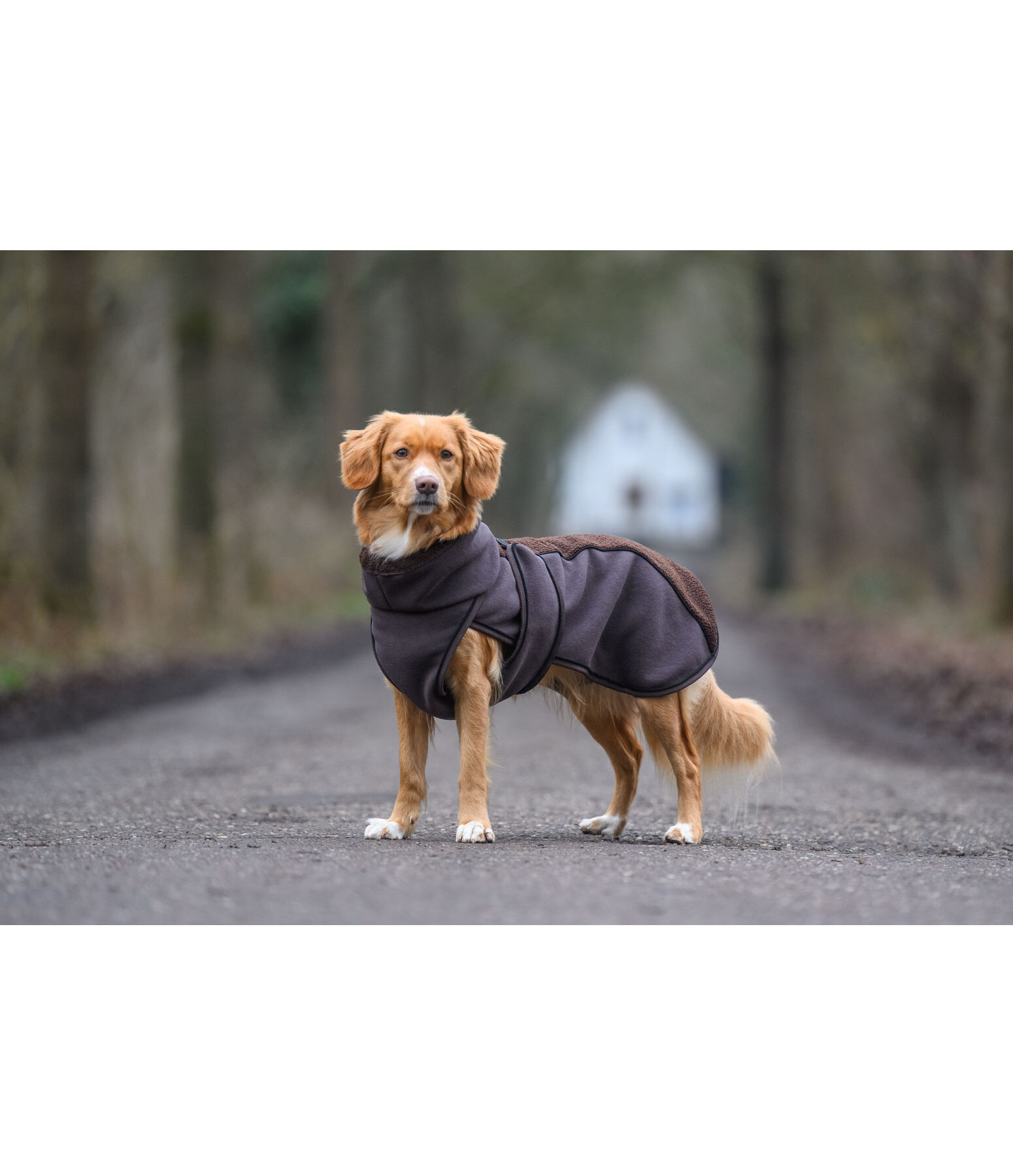 Teddy Fleece Dog Coat Frido