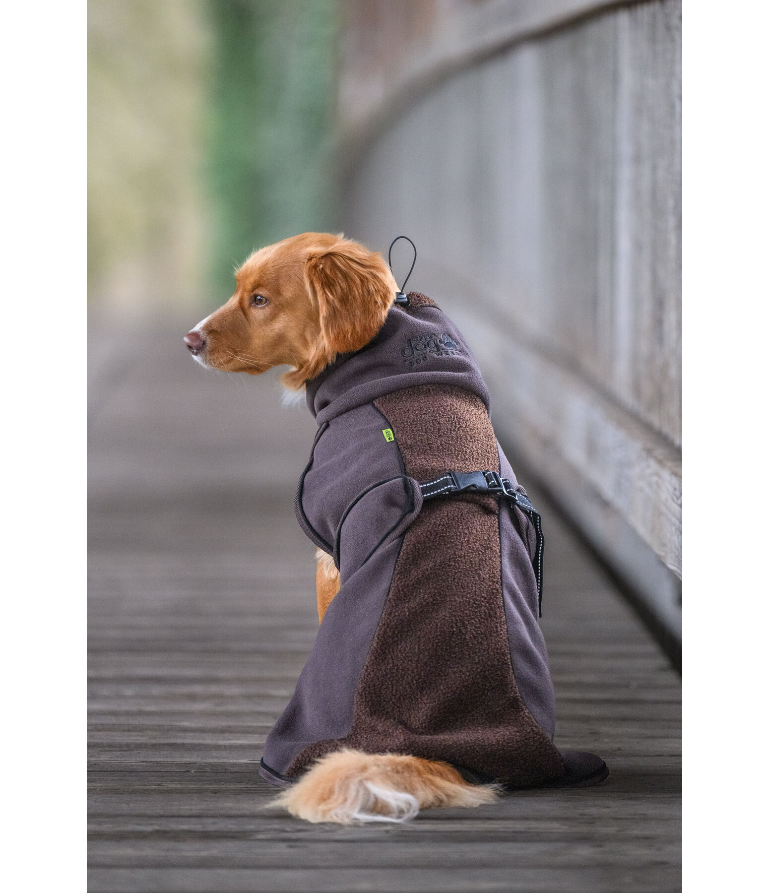Teddy Fleece Dog Coat Frido