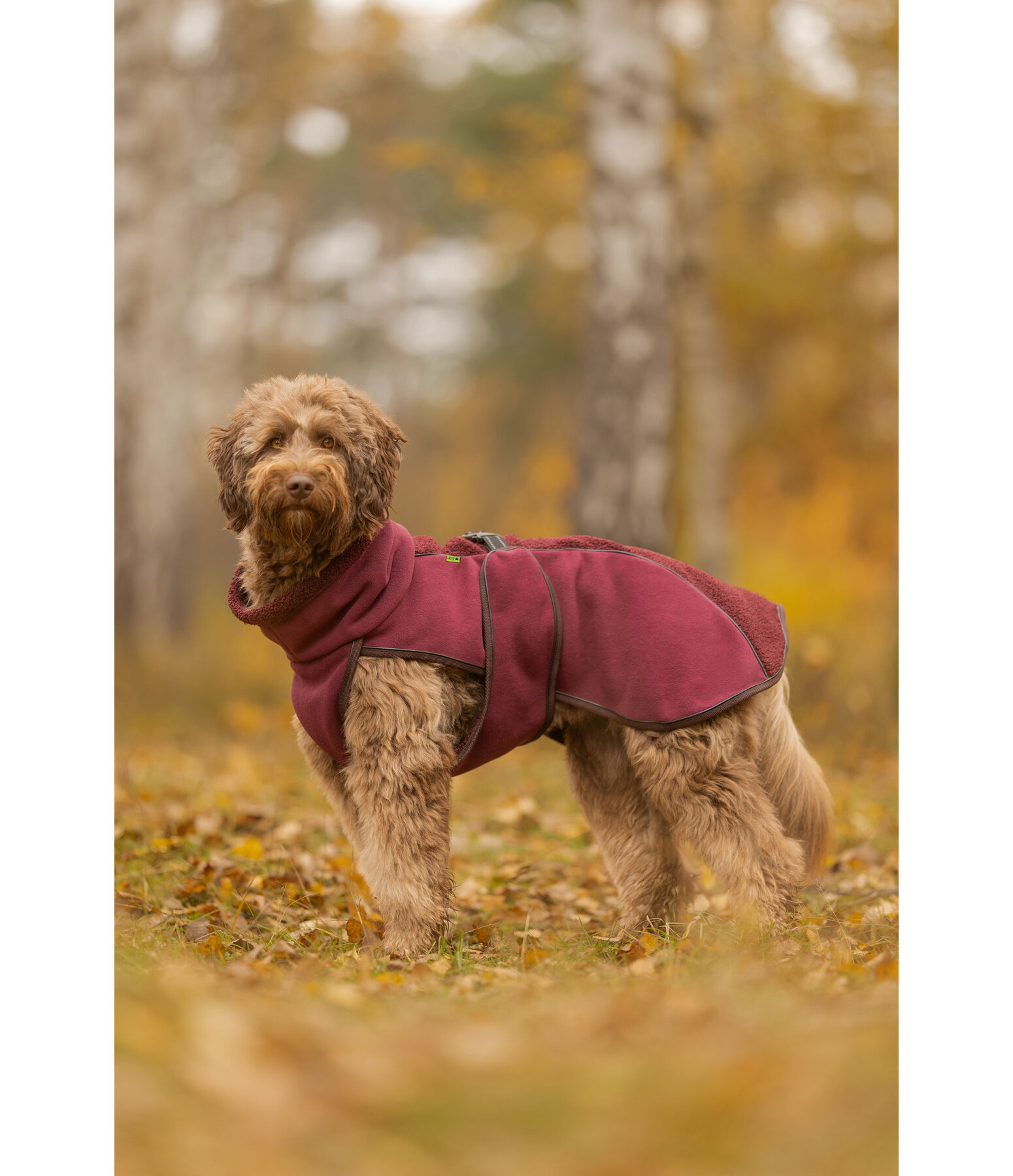 Teddy Fleece Dog Coat Frido