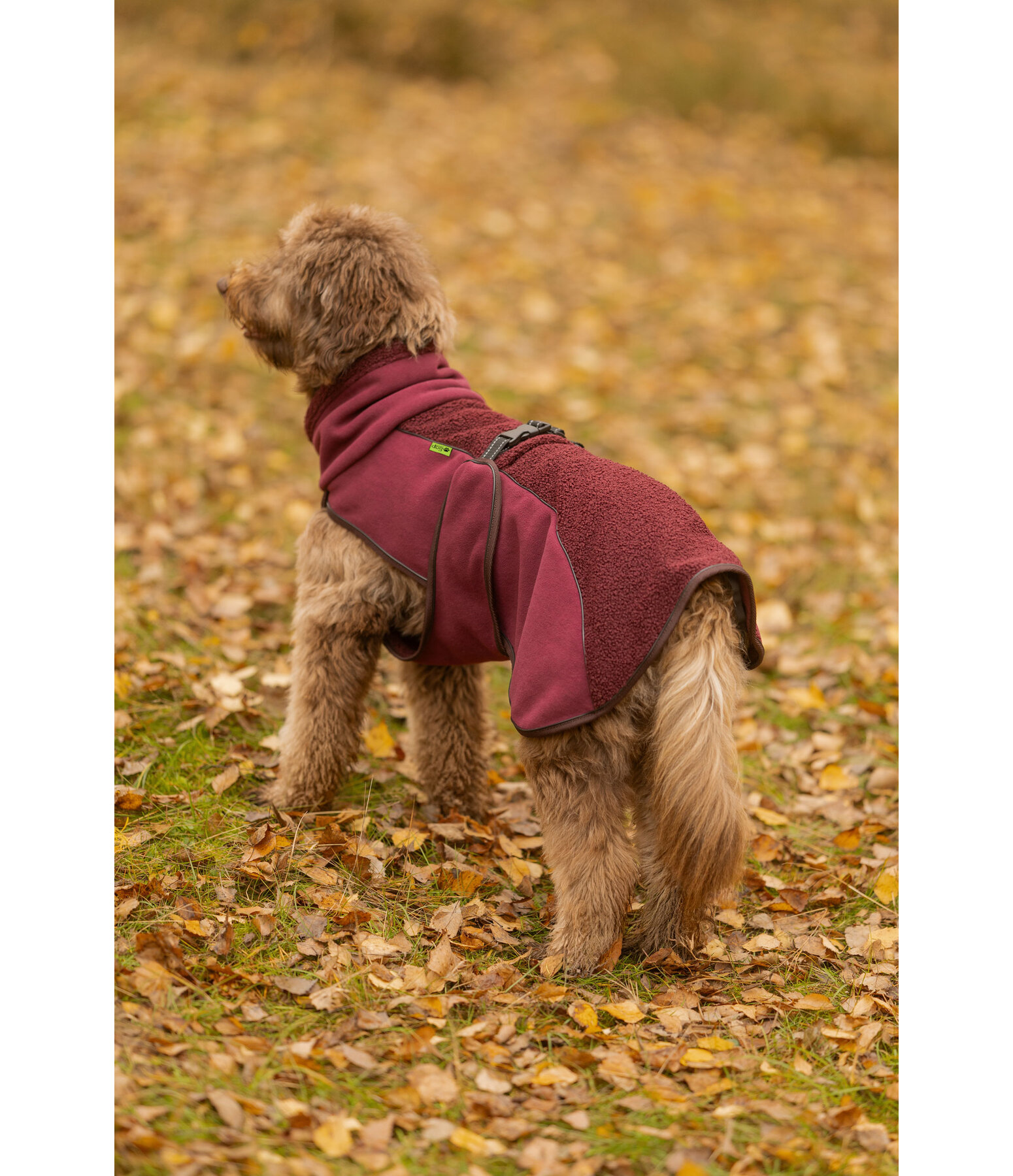 Teddy Fleece Dog Coat Frido