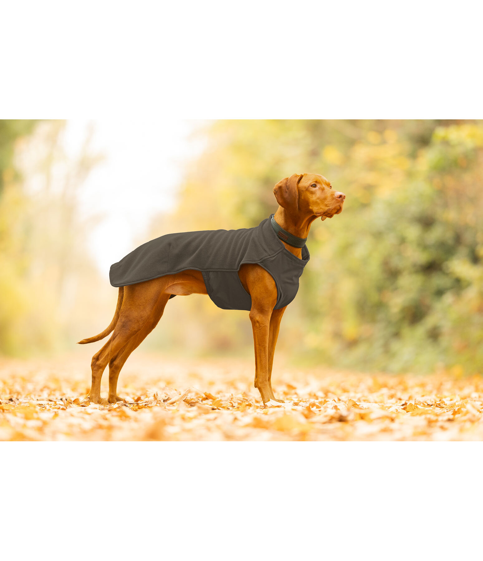 Undercoat and Fleece Jumper Basic