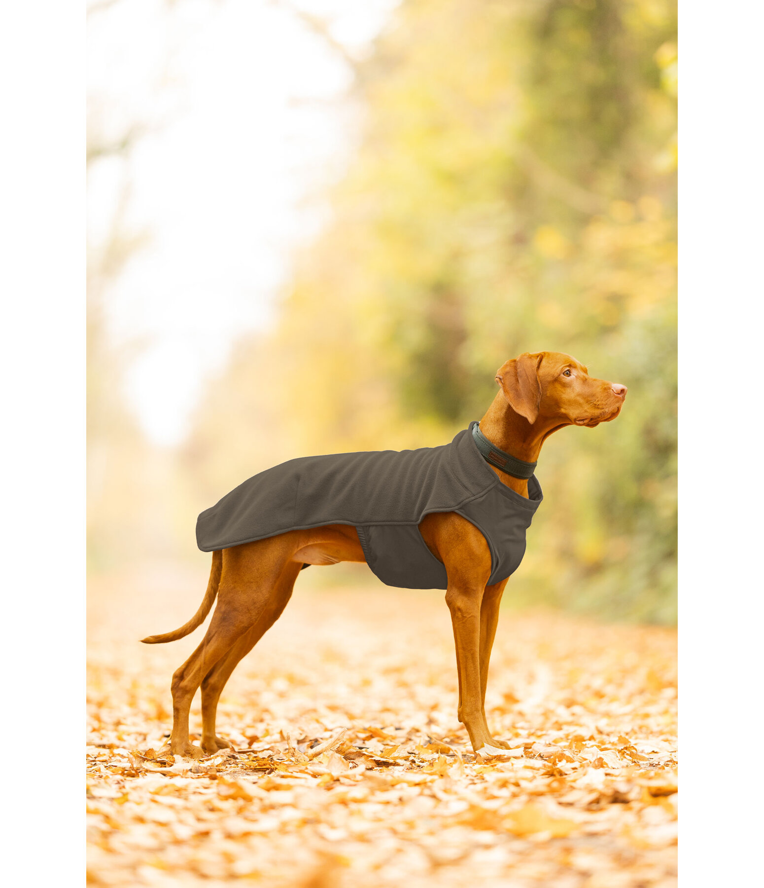 Undercoat and Fleece Jumper Basic