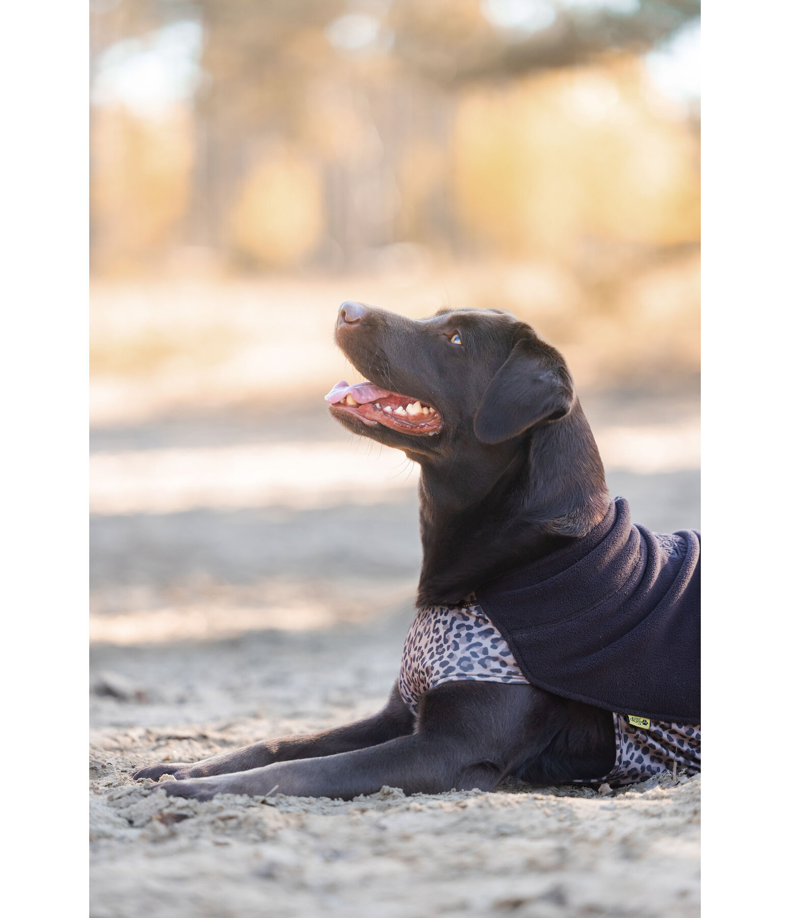 Undercoat and Fleece Jumper Basic