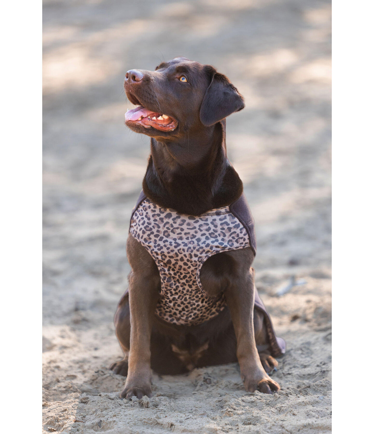Undercoat and Fleece Jumper Basic