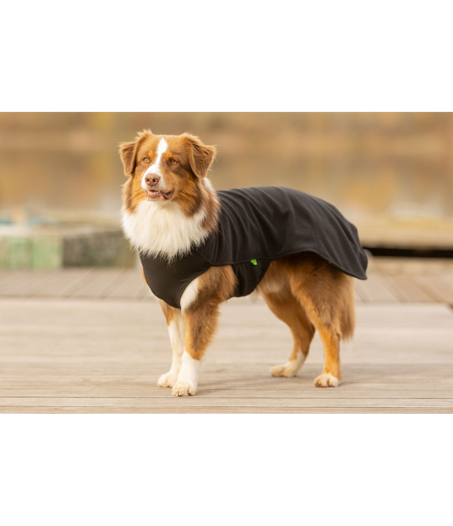 Undercoat and Fleece Jumper Basic