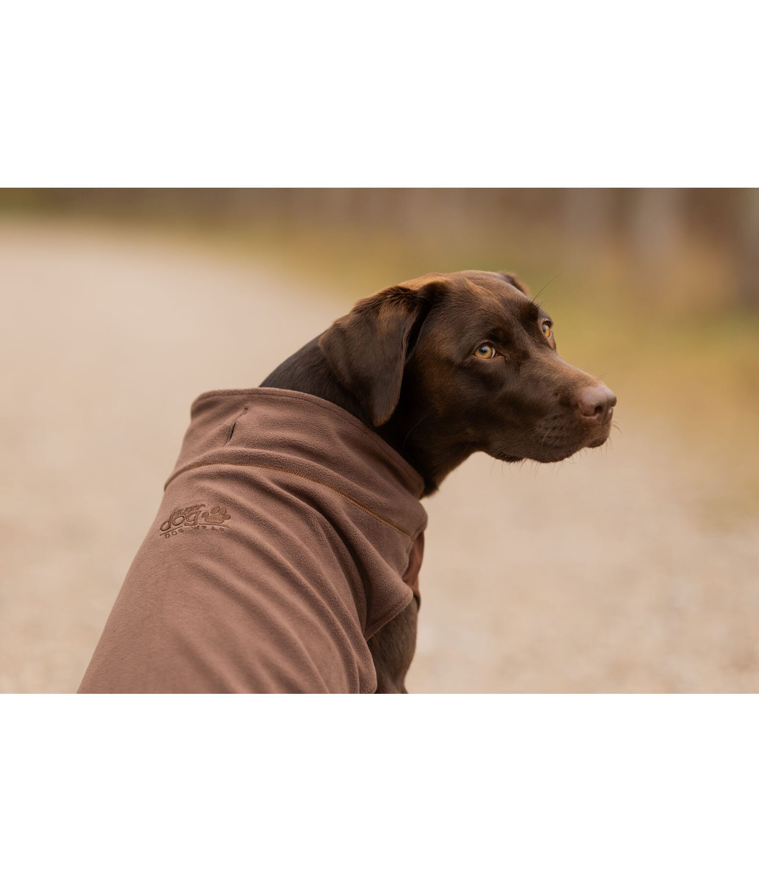 Undercoat and Fleece Jumper Basic