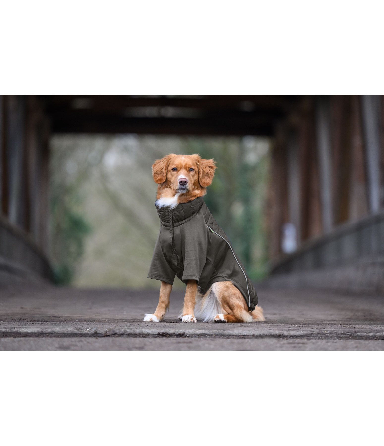 Performance Stretch Combination Dog Coat Baldo, 160g