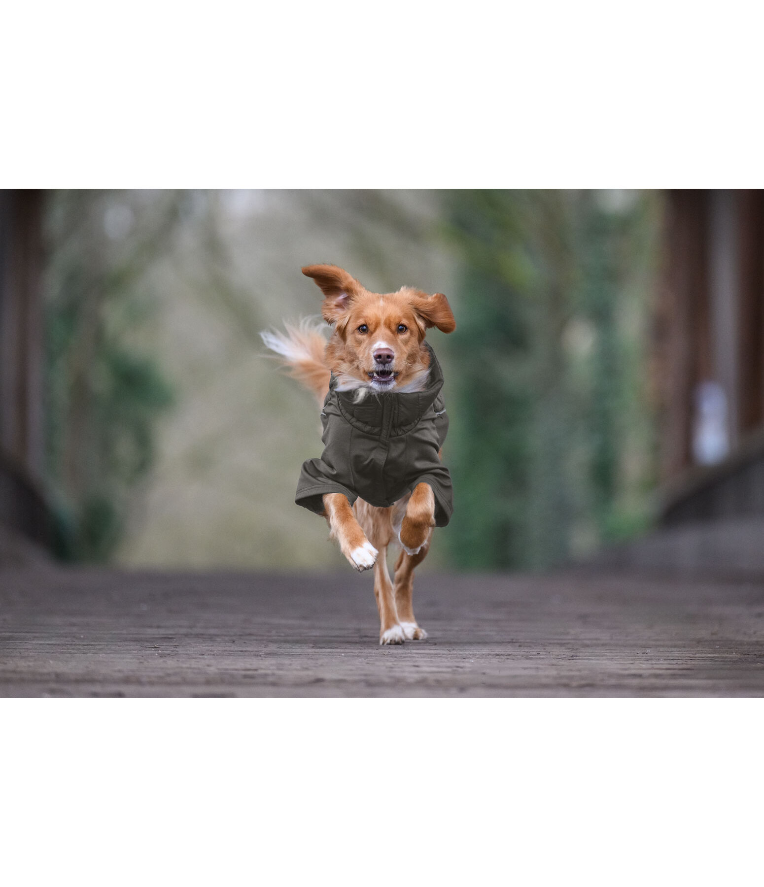 Performance Stretch Combination Dog Coat Baldo, 160g