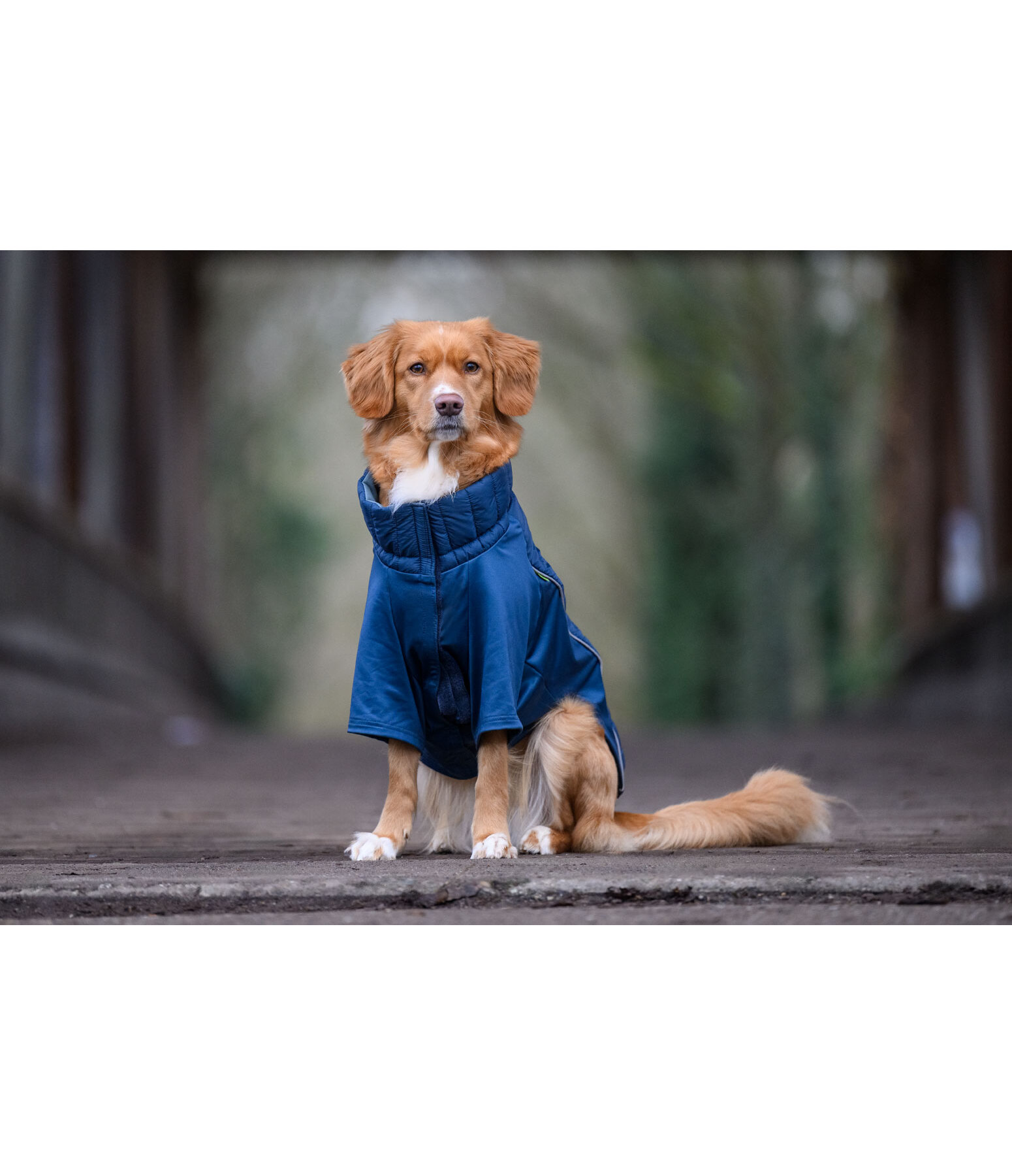 Performance Stretch Combination Dog Coat Baldo, 160g