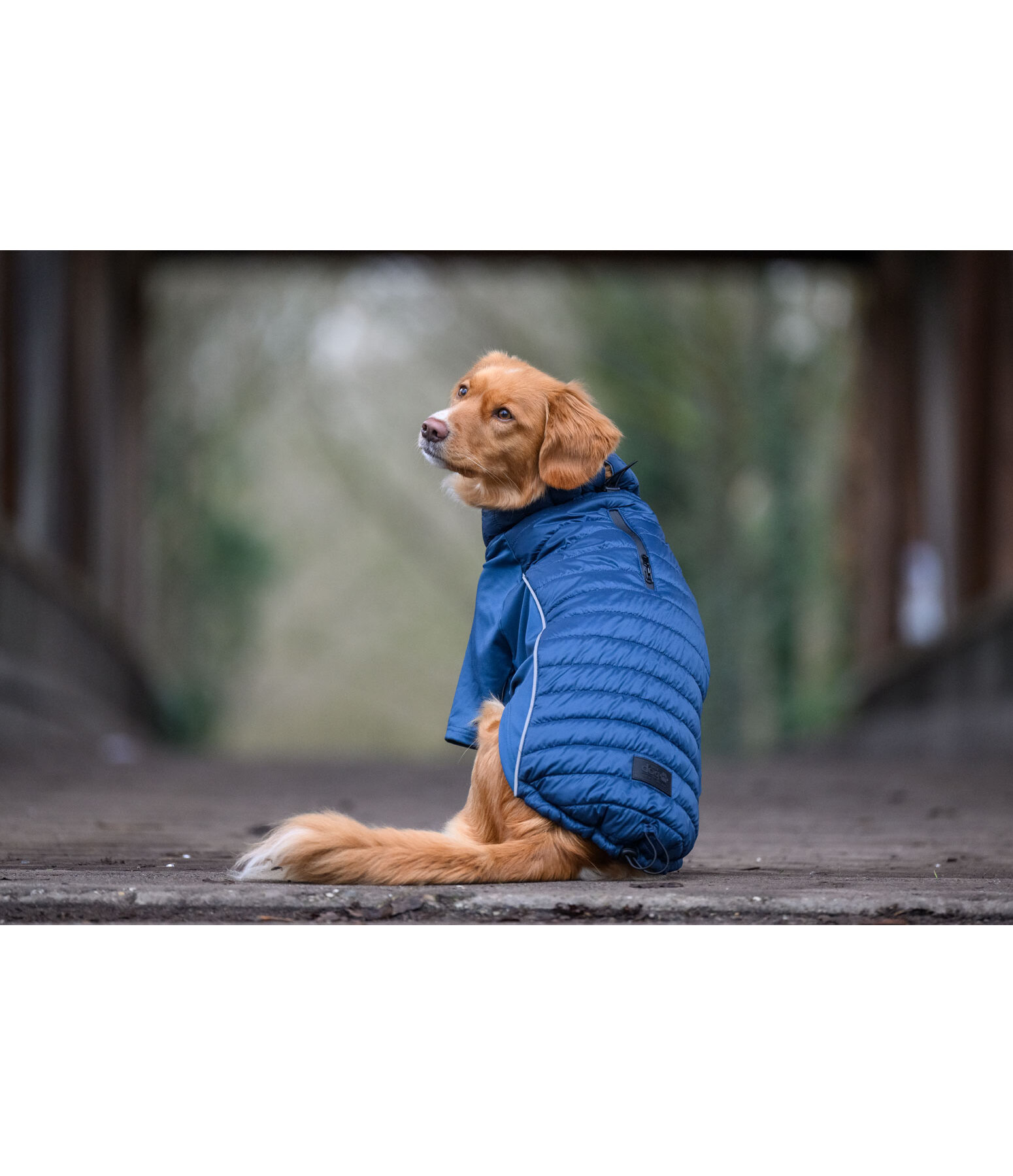 Performance Stretch Combination Dog Coat Baldo, 160g