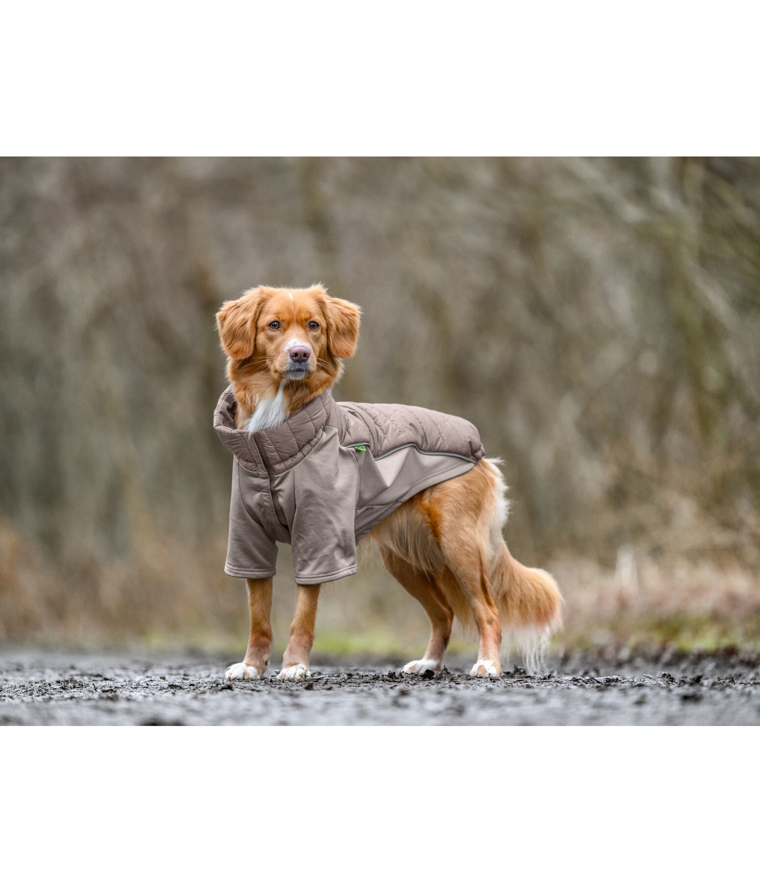 Performance Stretch Combination Dog Coat Baldo, 160g
