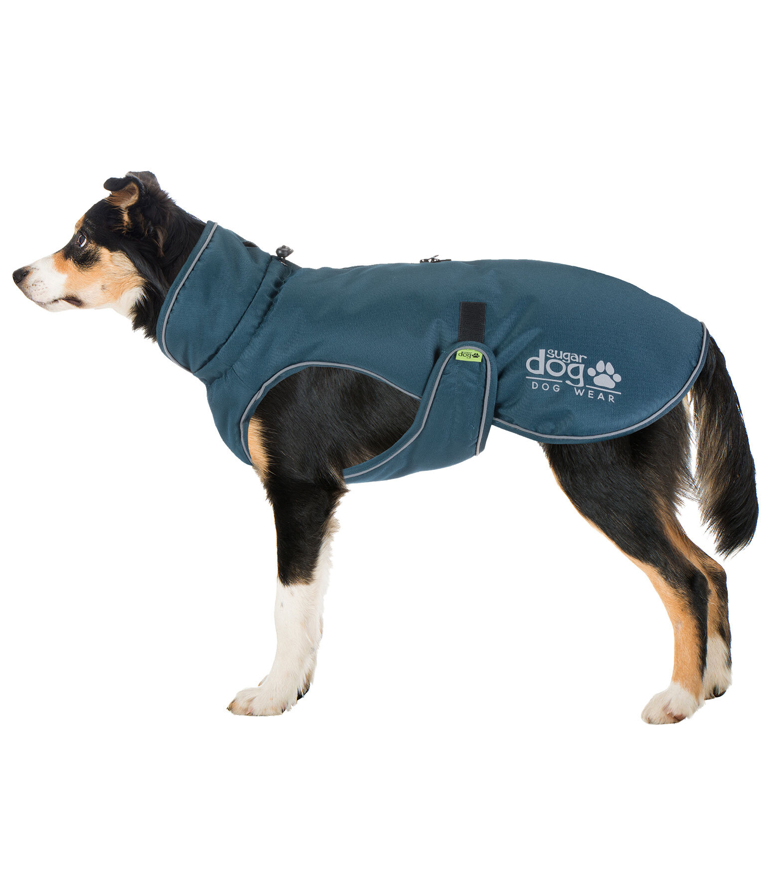 Thermal Dog Coat Archie Snow Drift, 200g