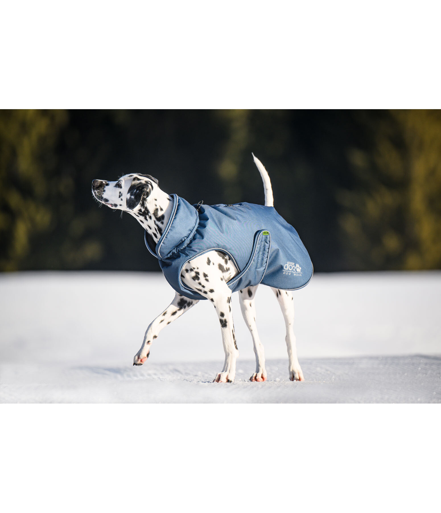 Thermal Dog Coat Archie Snow Drift, 200g
