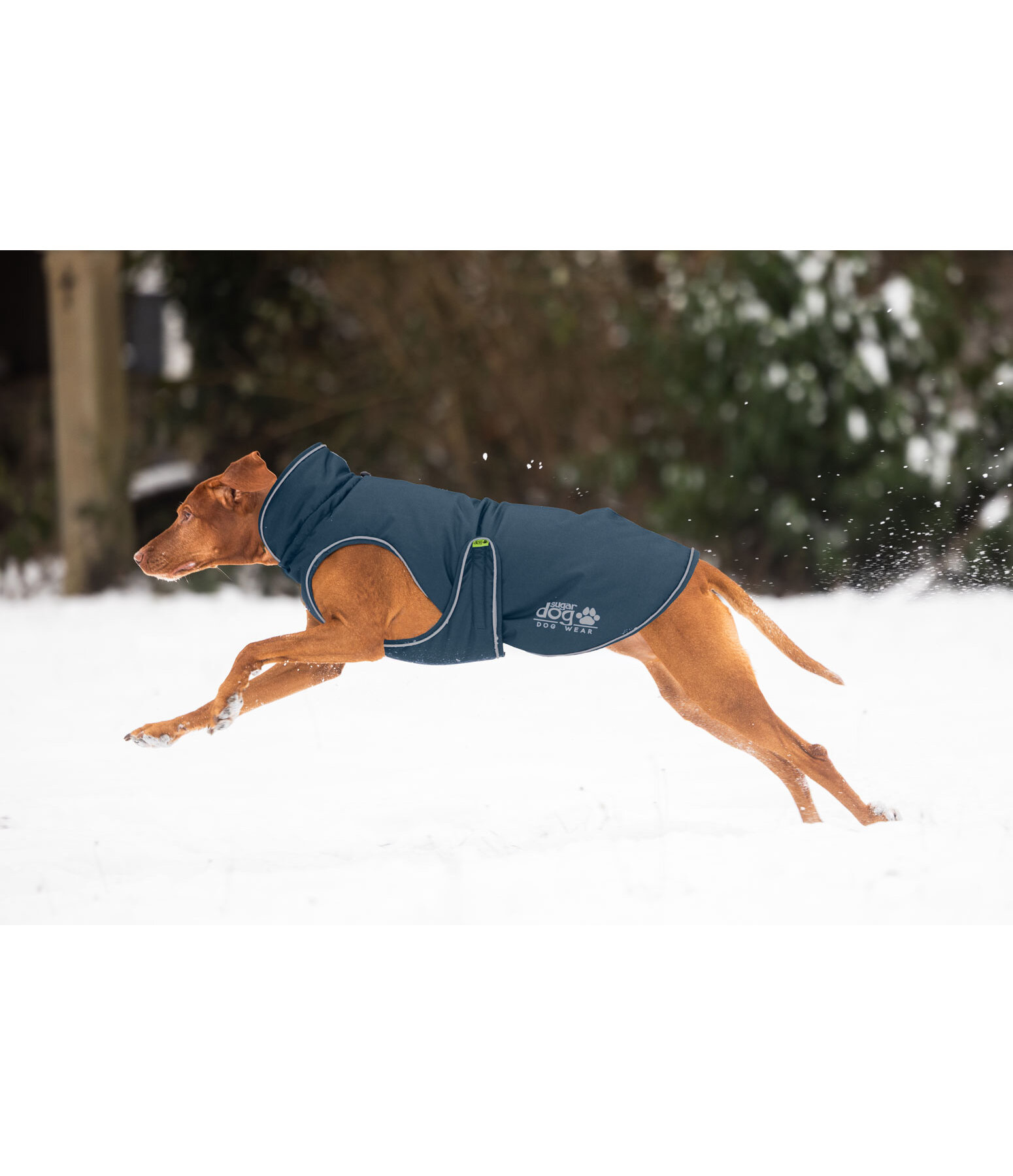 Thermal Dog Coat Archie Snow Drift, 200g