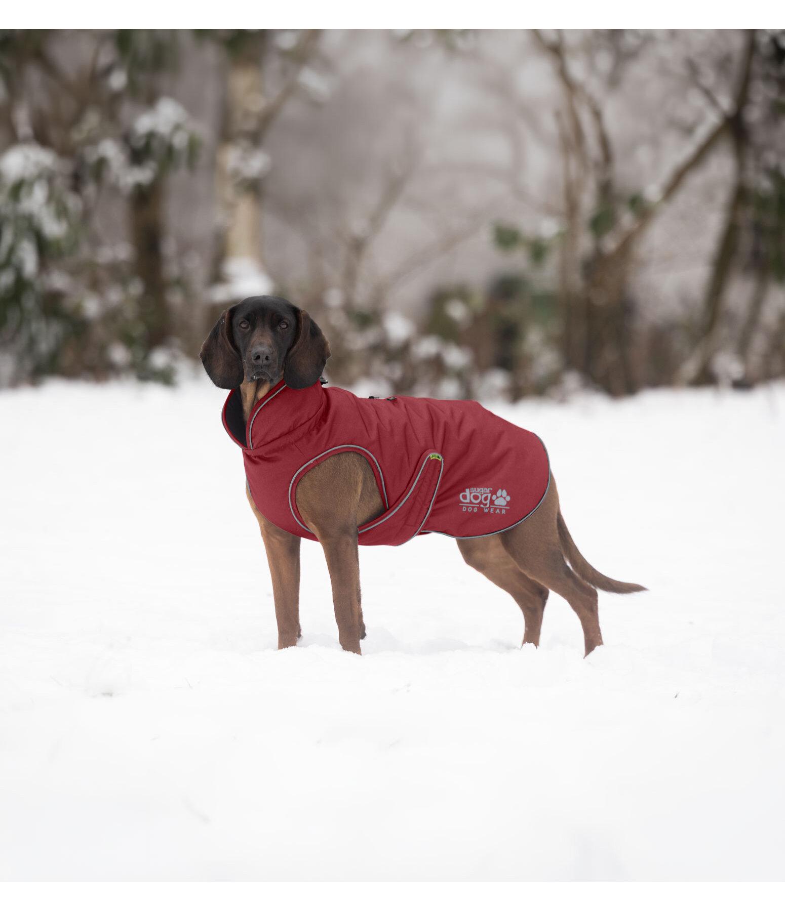 Thermal Dog Coat Archie Snow Drift, 200g