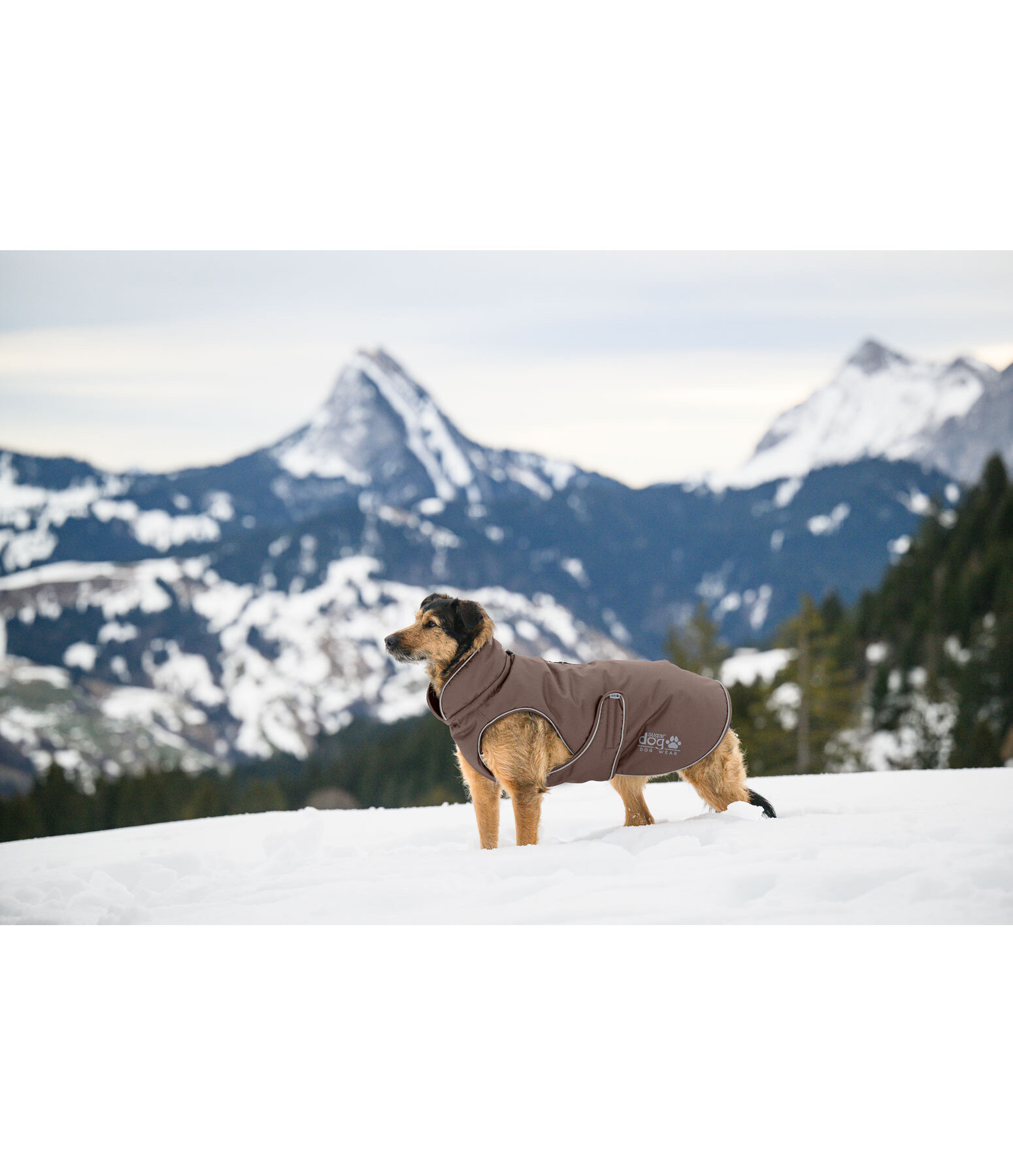 Thermal Dog Coat Archie Snow Drift, 200g
