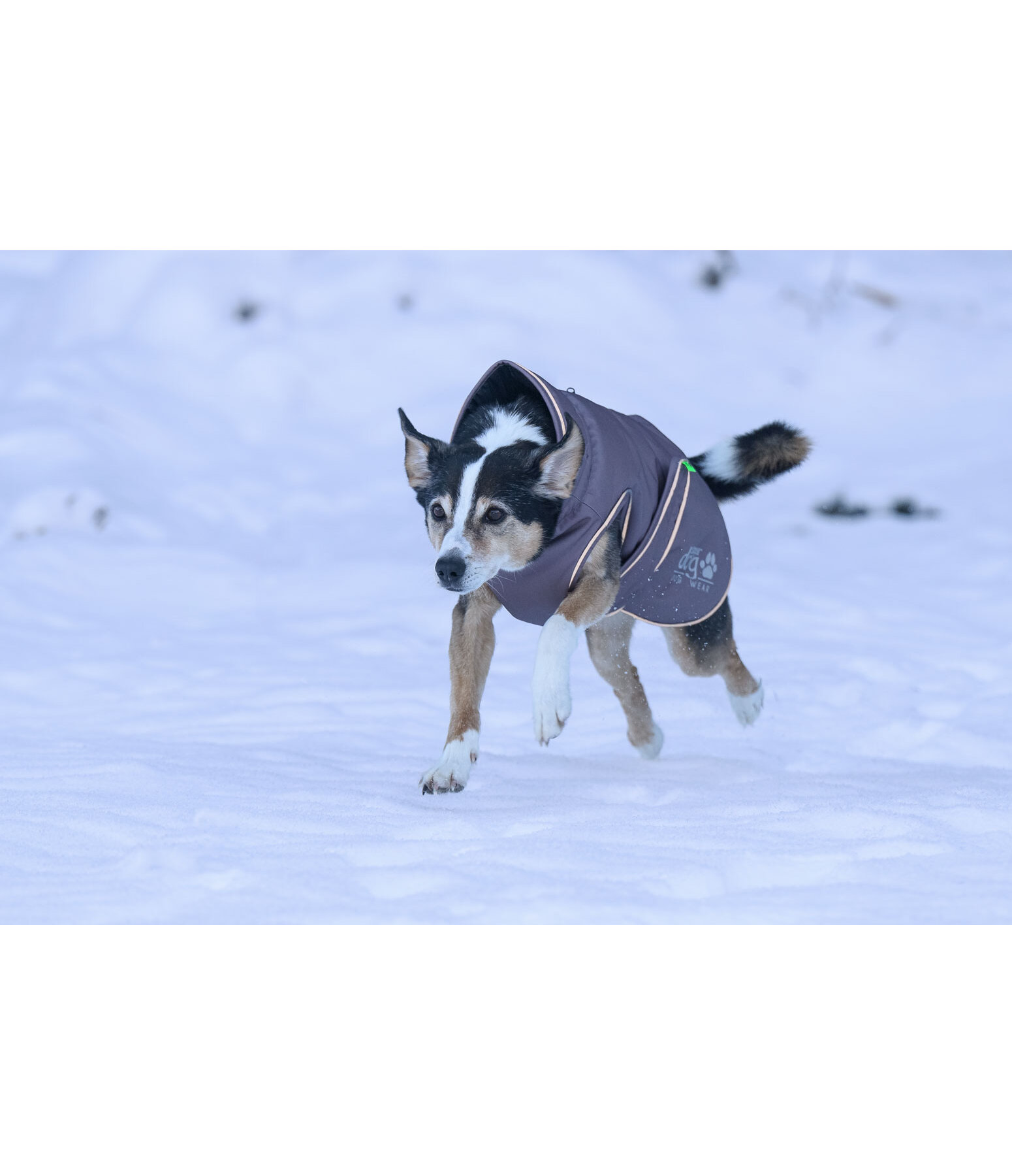 Thermal Dog Coat Archie Snow Drift, 200g