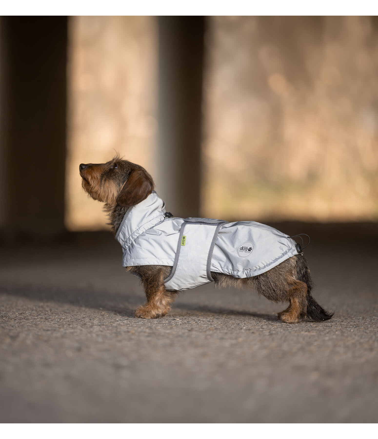 Dachshund Hi-Vis Coat George with Fleece Lining