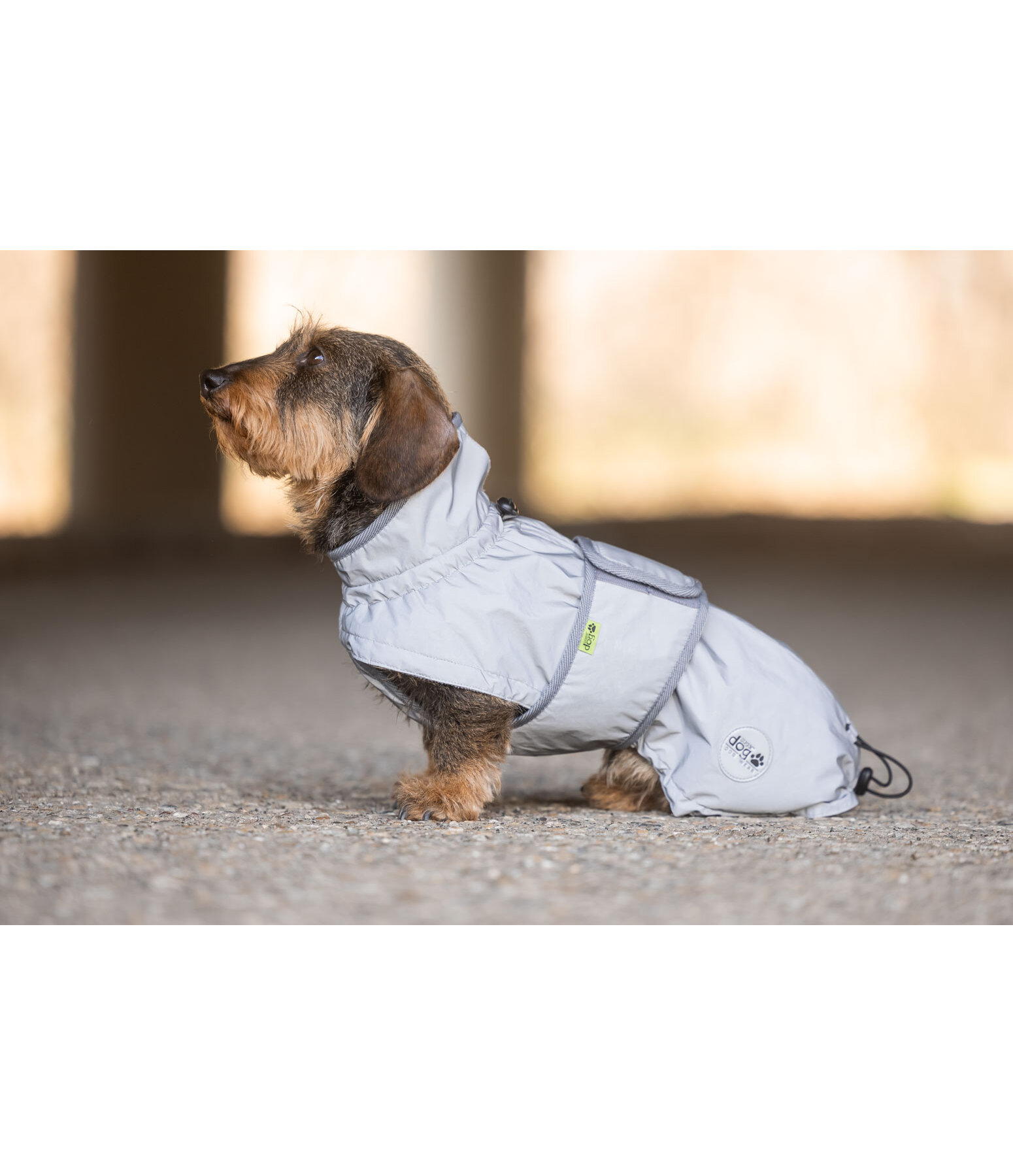 Dachshund Hi-Vis Coat George with Fleece Lining