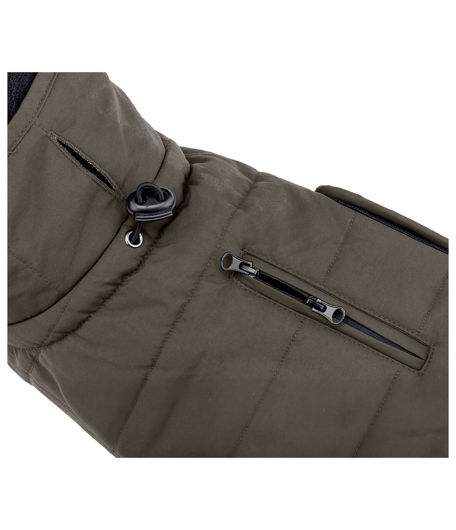 Dachshund Winter Coat Henry, 200g
