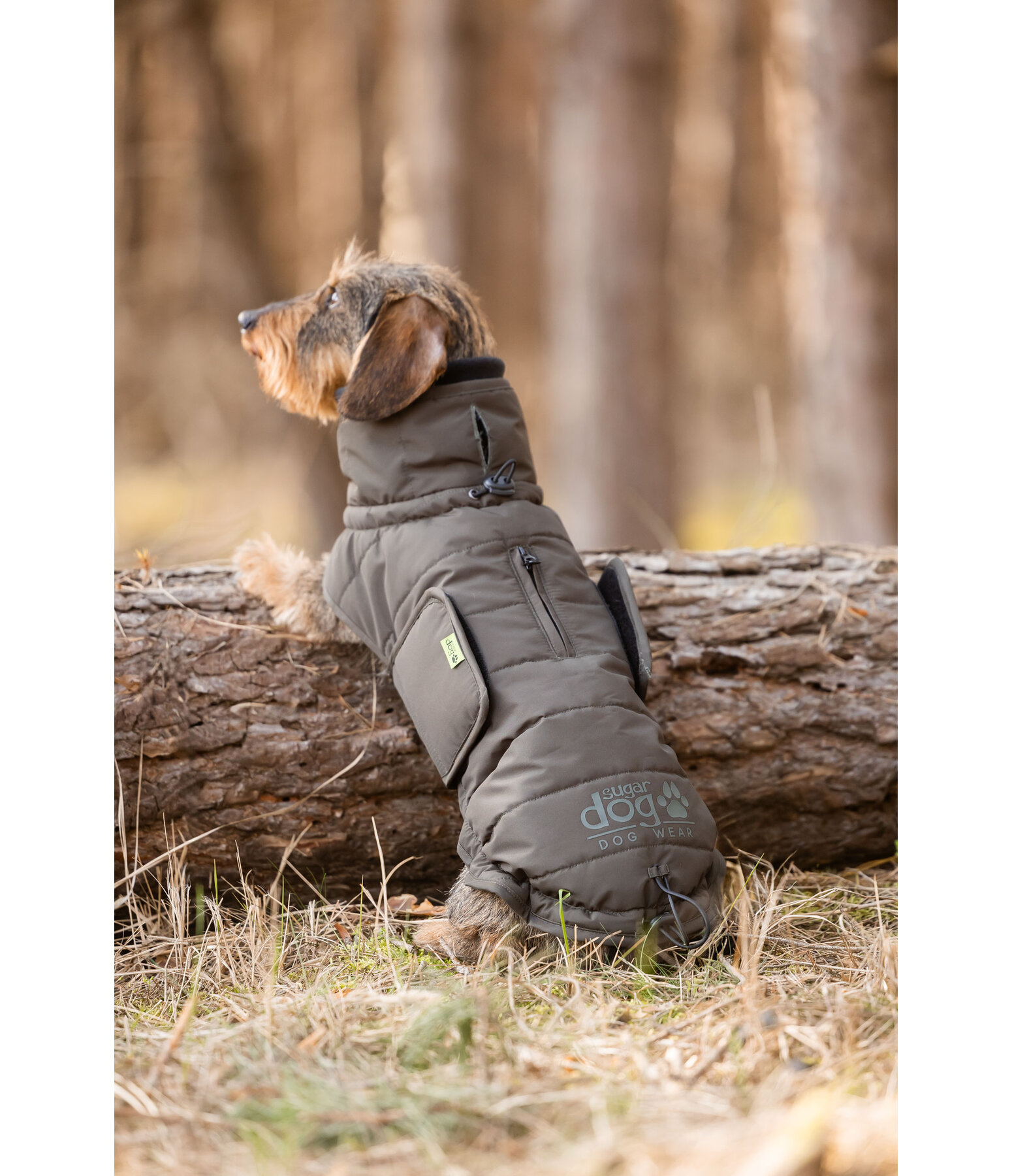 Dachshund Winter Coat Henry, 200g