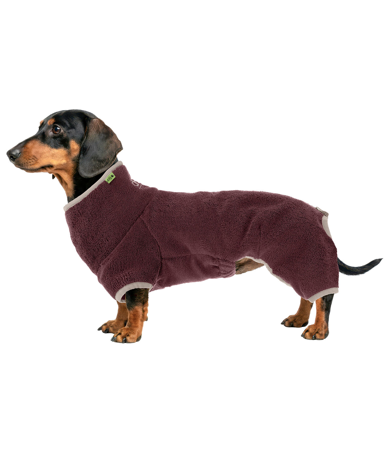 Dachshund Bathrobe Theo