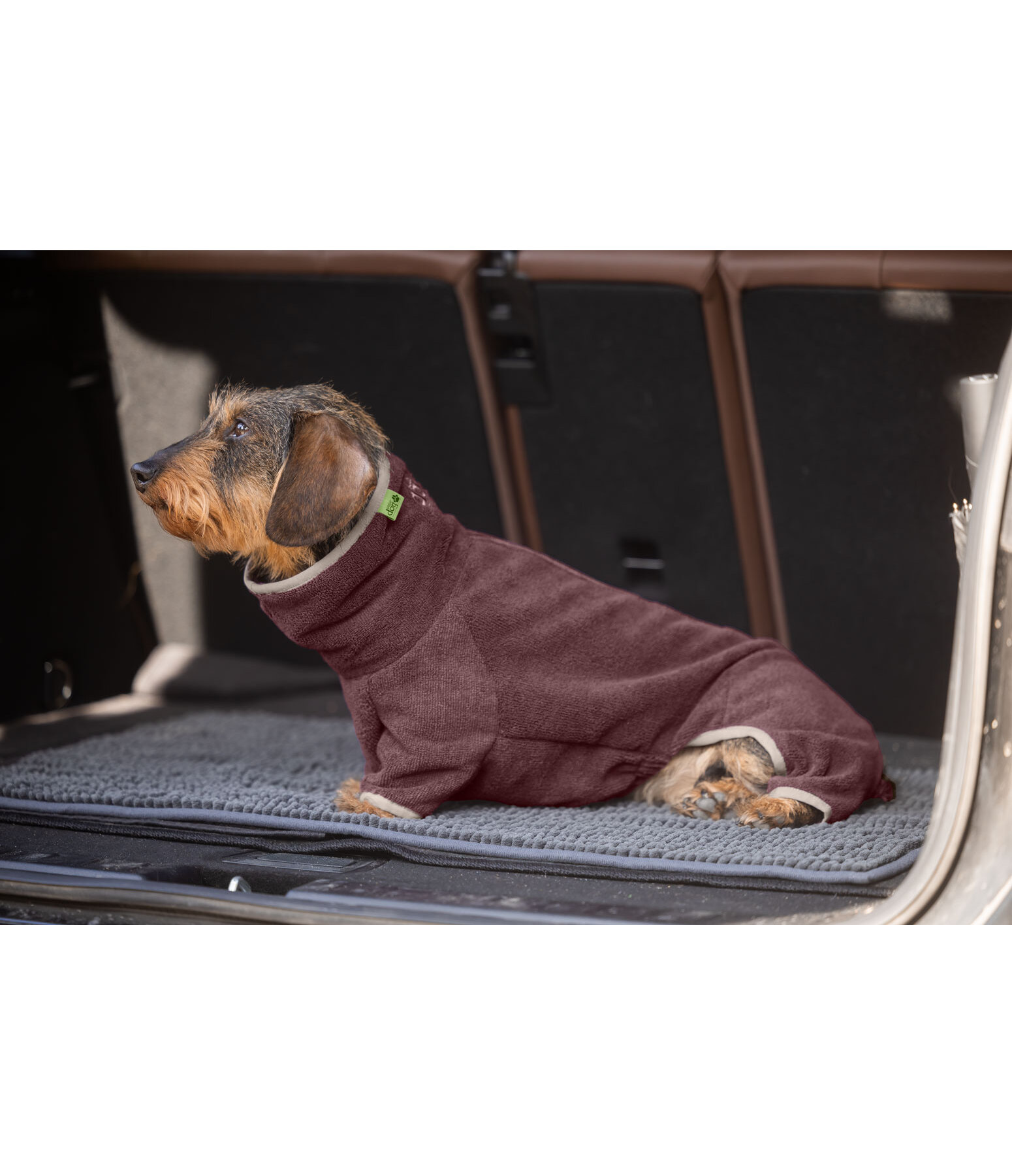 Dachshund Bathrobe Theo