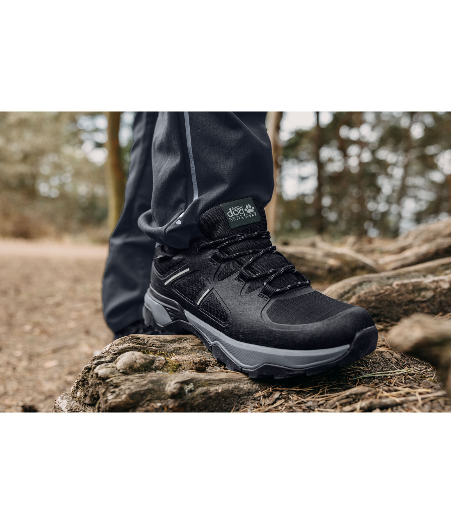 Hiking Shoes X-Trail Low