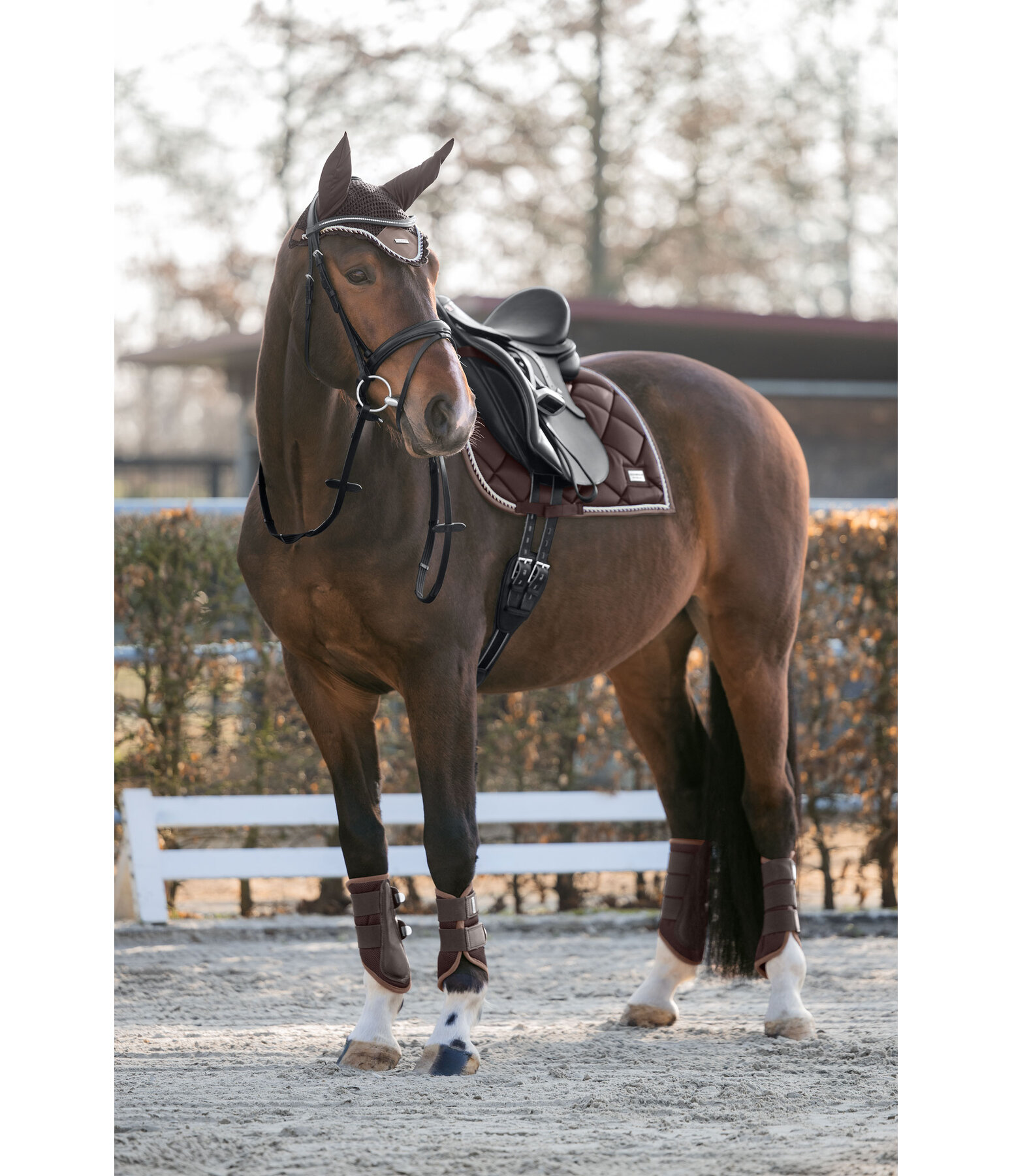 Functional Boots Swiss Design, Front Legs