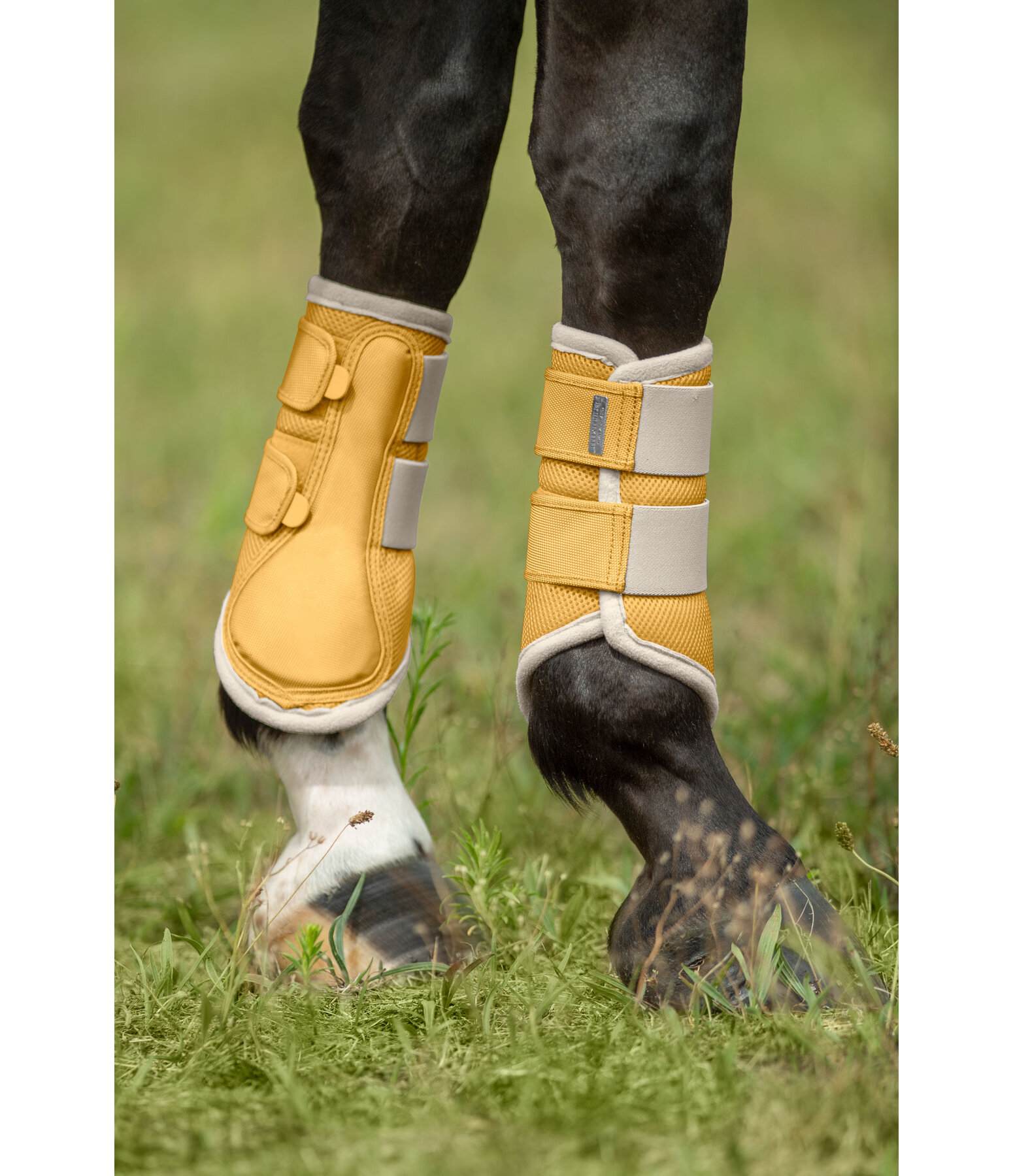 Functional Boots Swiss Design (Front Legs)