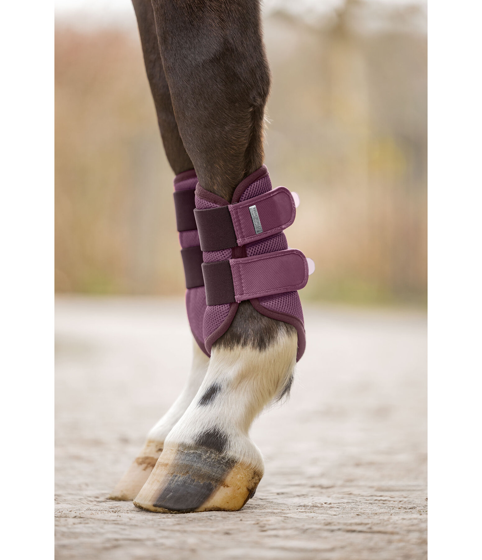 Functional Boots Swiss Design, Front Legs