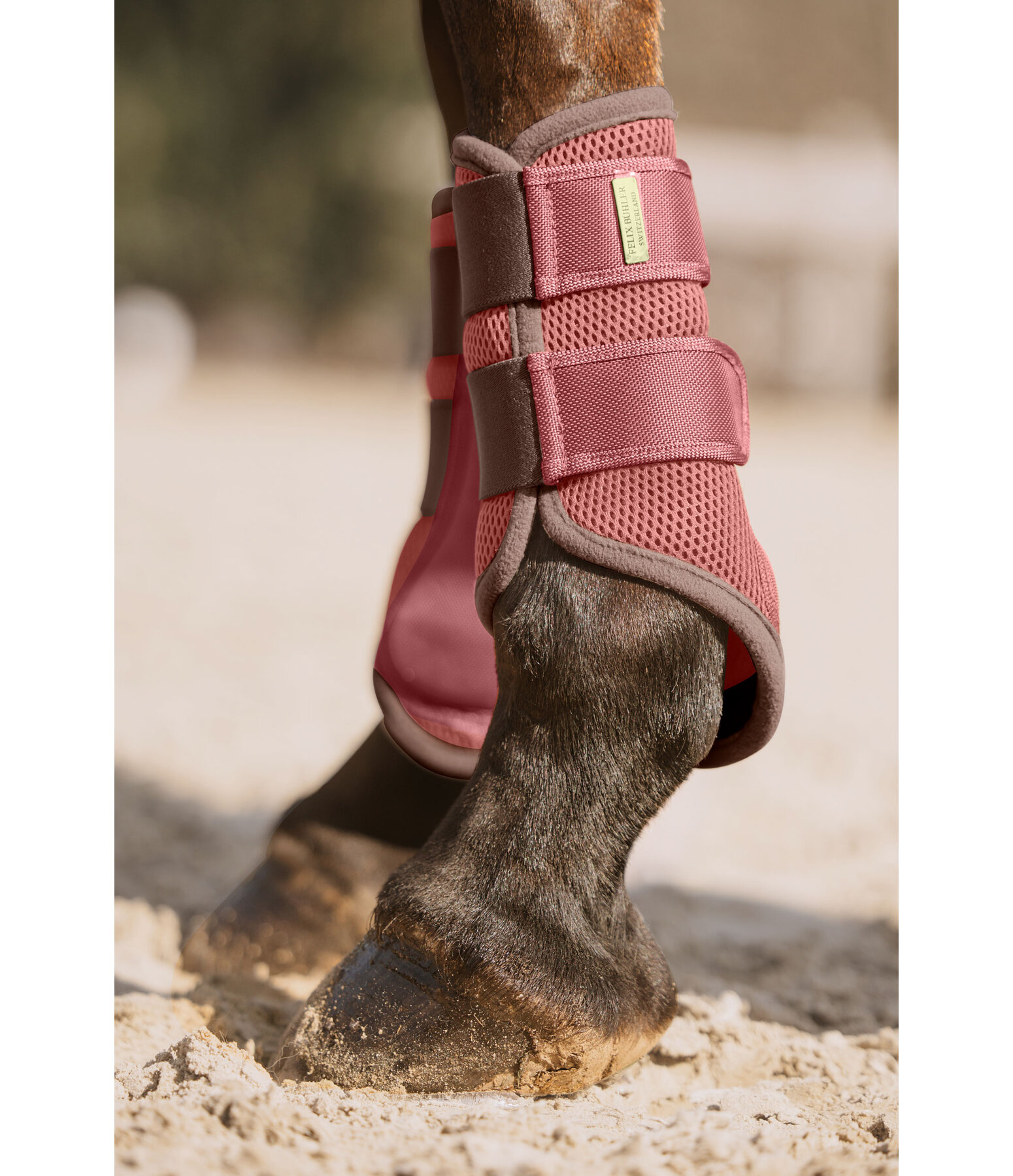 Functional Boots Swiss Design, Front Legs