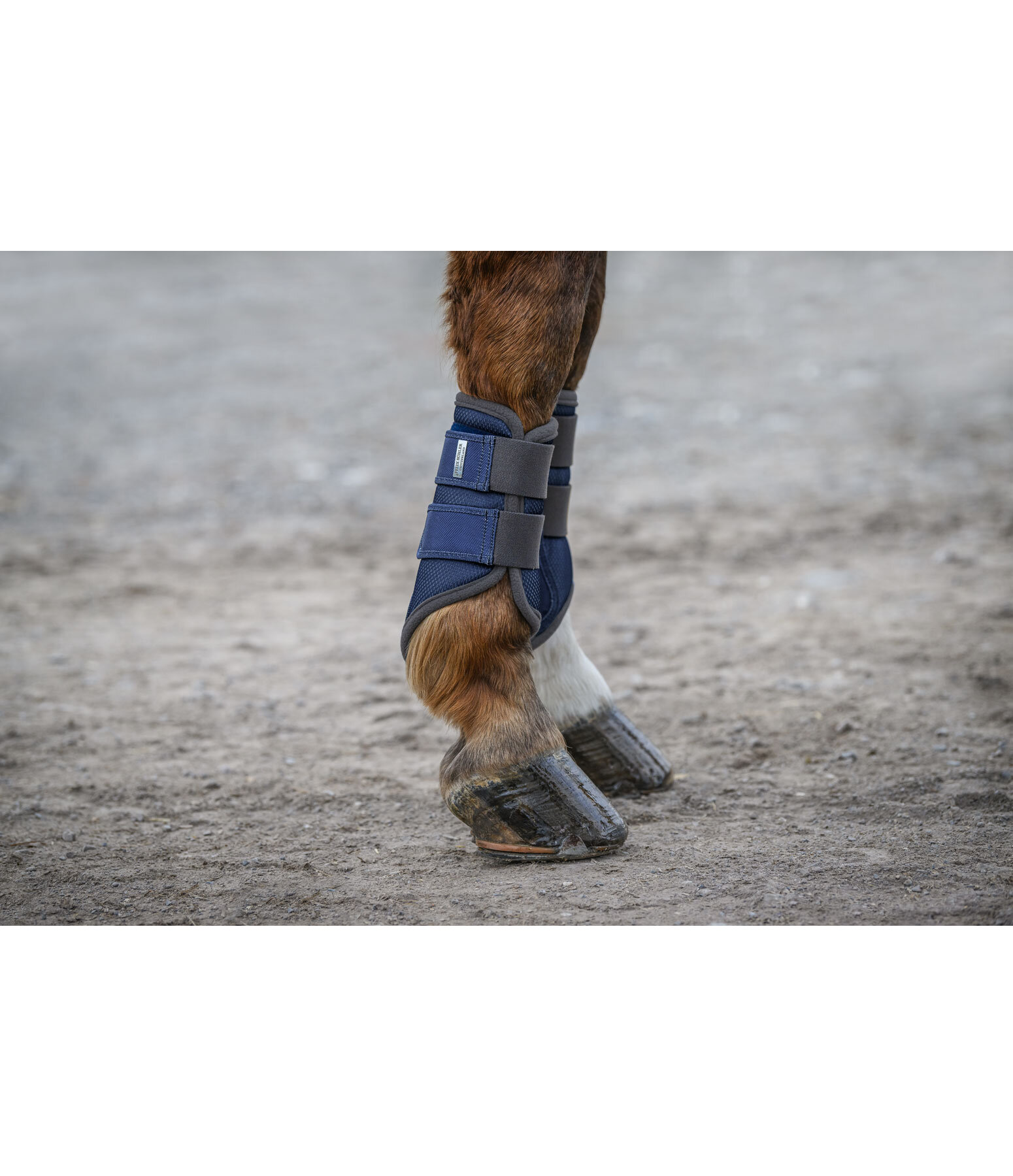 Functional Boots Swiss Design (Front Legs)
