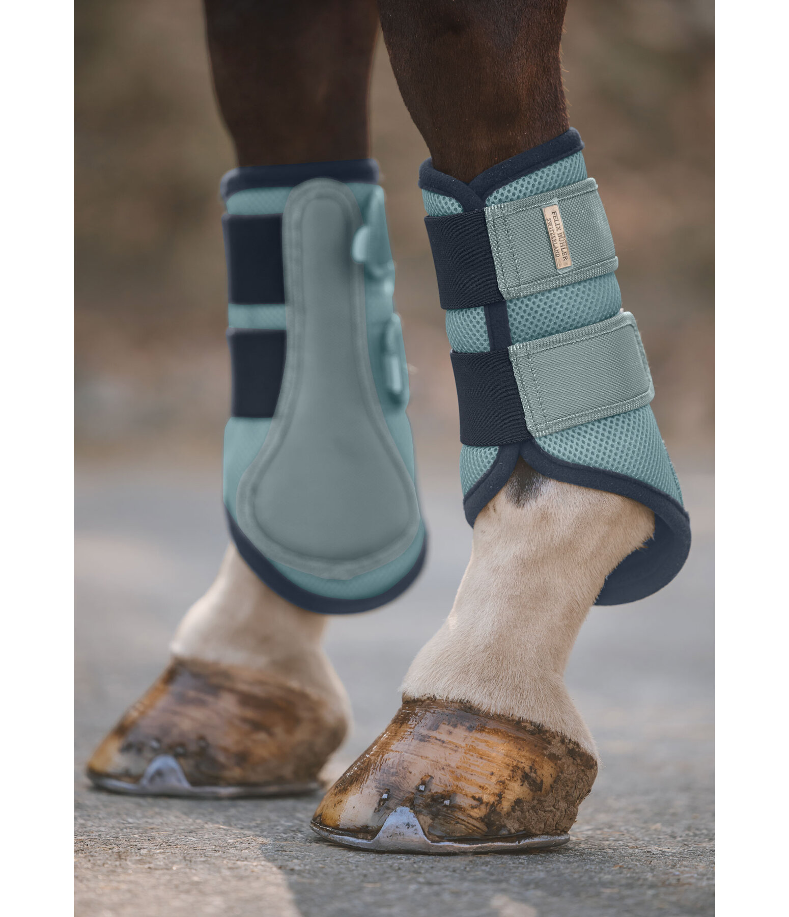 Functional Boots Swiss Design, Front Legs