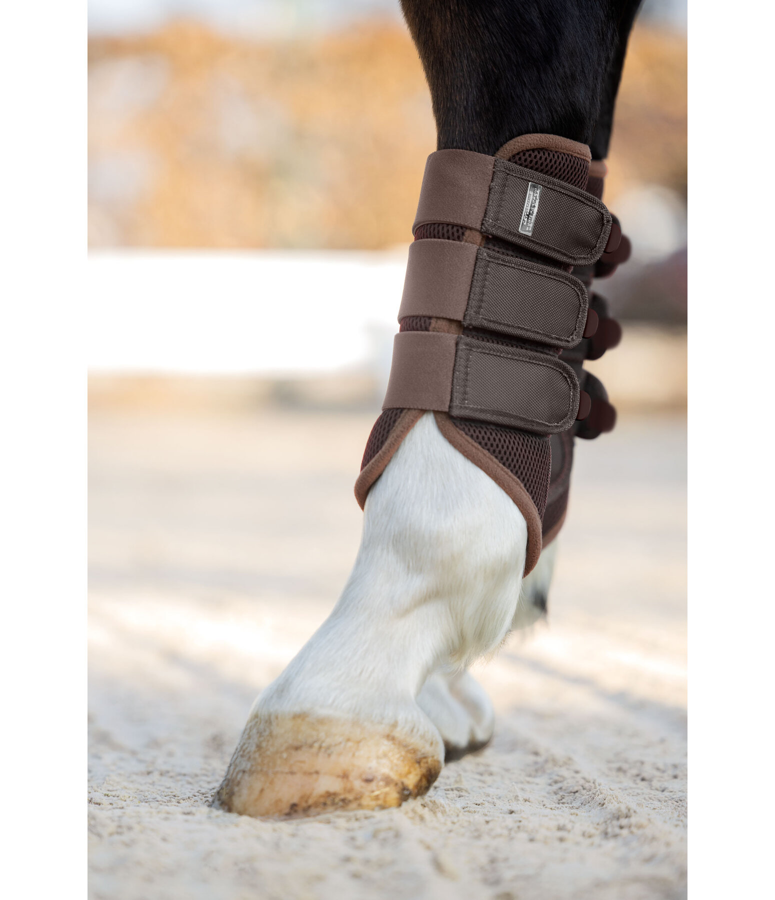 Functional Boots Swiss Design, Hind Legs