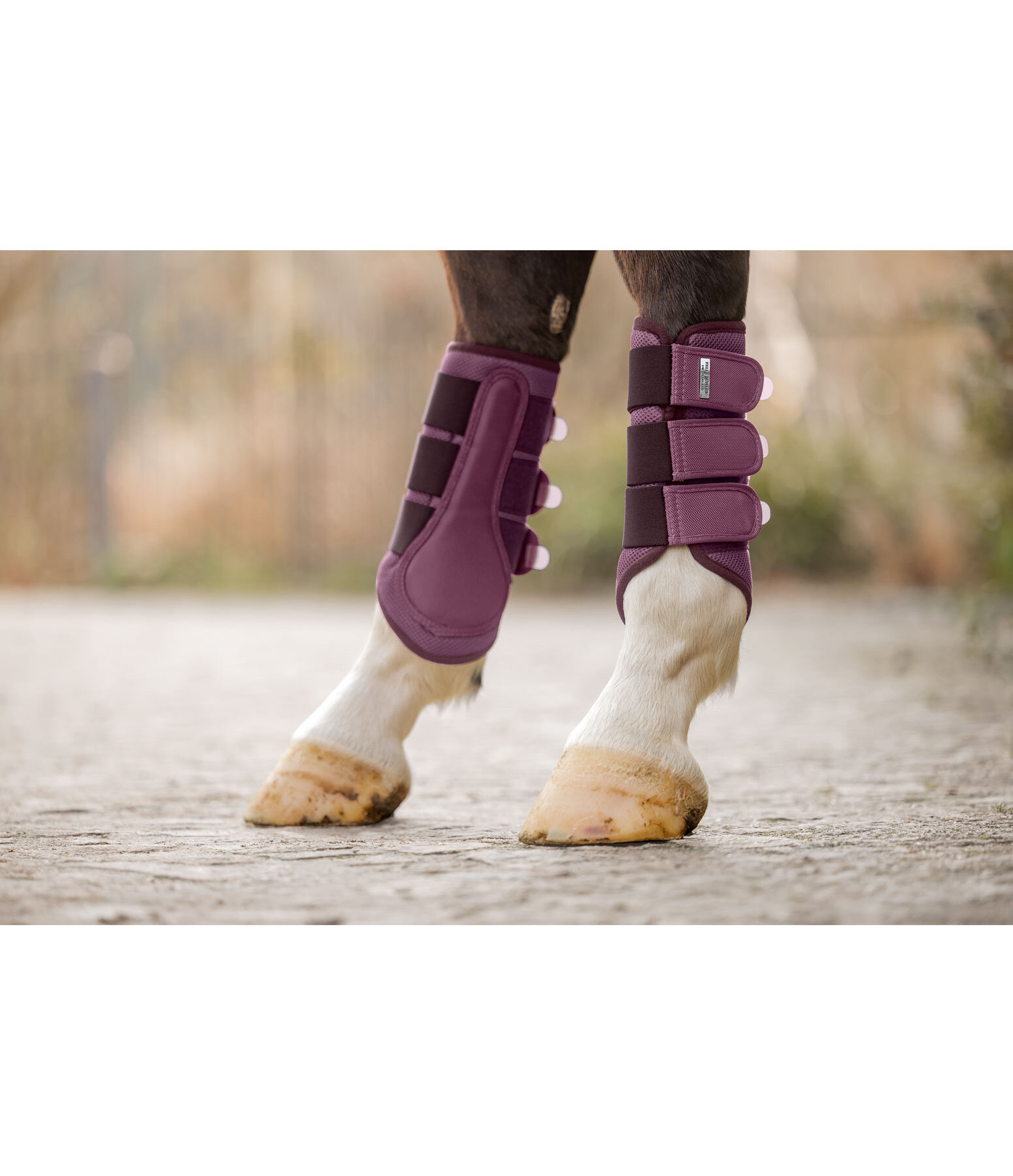 Functional Boots Swiss Design, Hind Legs