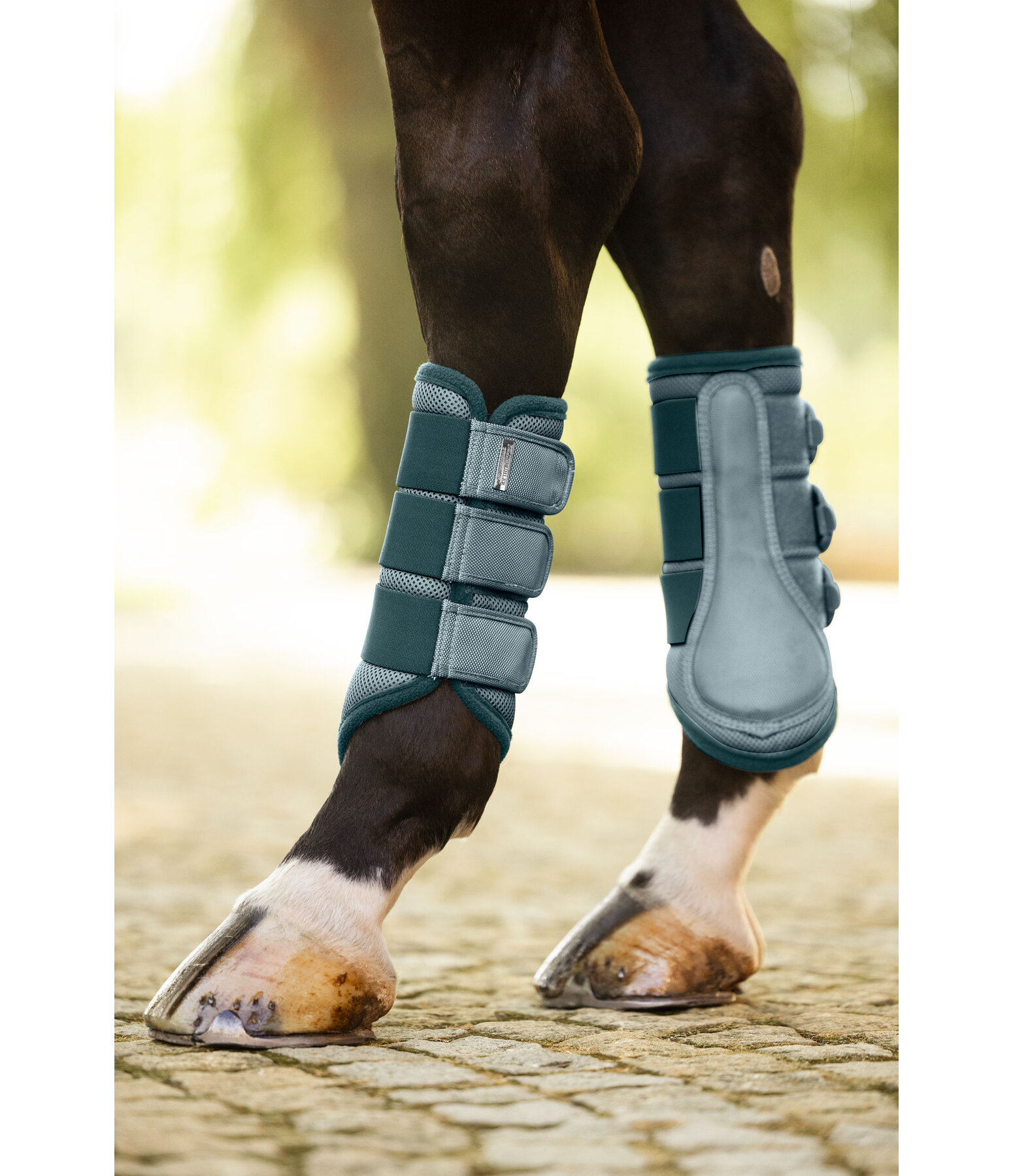 Functional Boots Swiss Design, Hind Legs