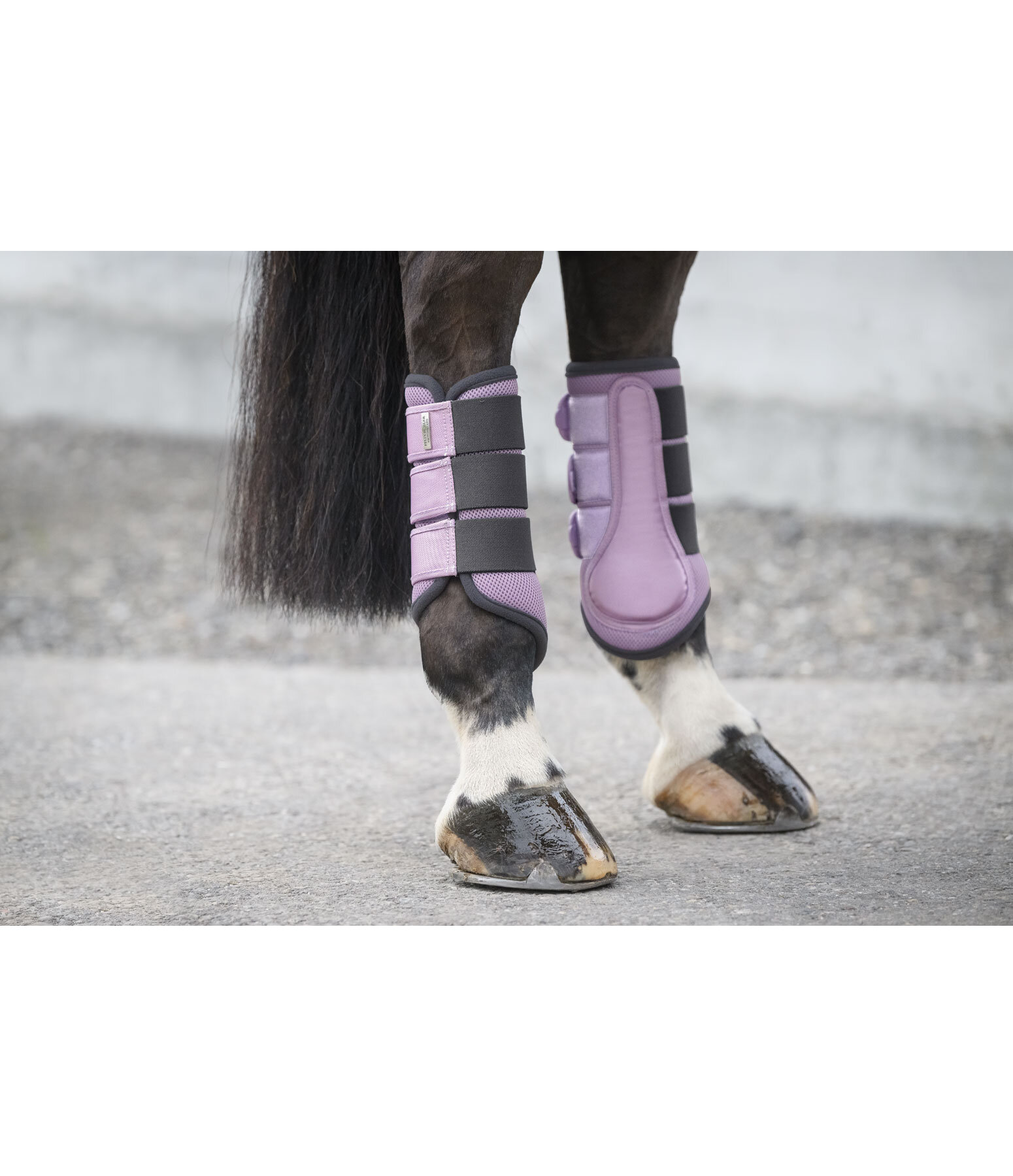 Functional Boots Swiss Design (Hind Legs)